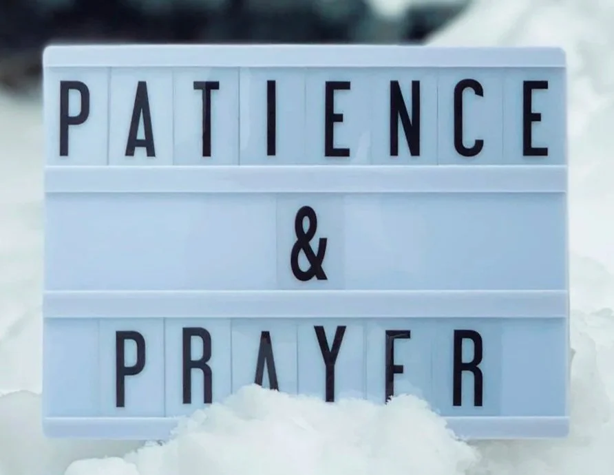 Lesson Four: Patience