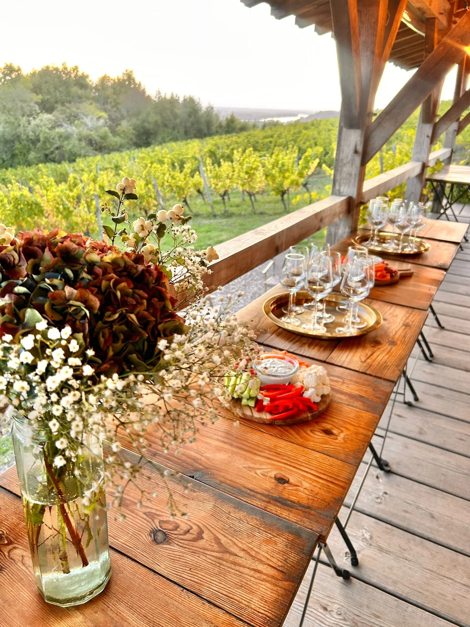 LA CABANE DANS LES VIGNES