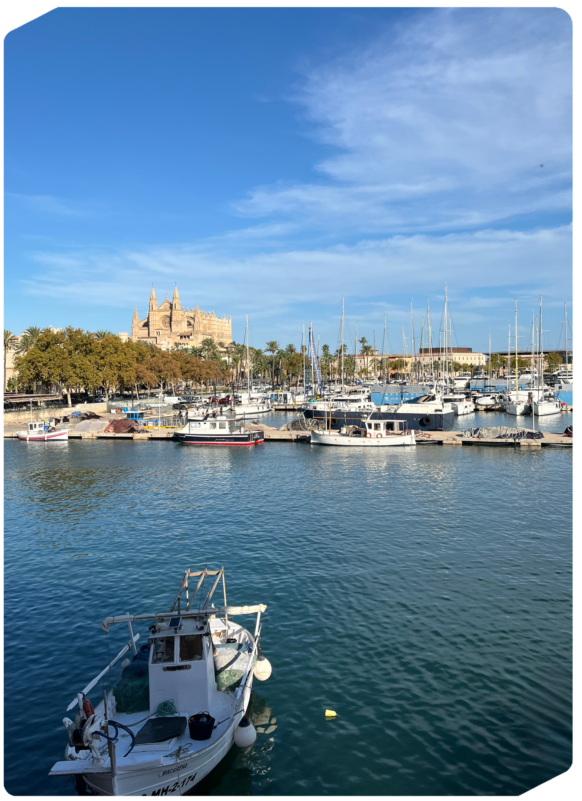 Exclusive Palma de Mallorca setting where MED RESET orchestrates high-end wellness logistics and private events.