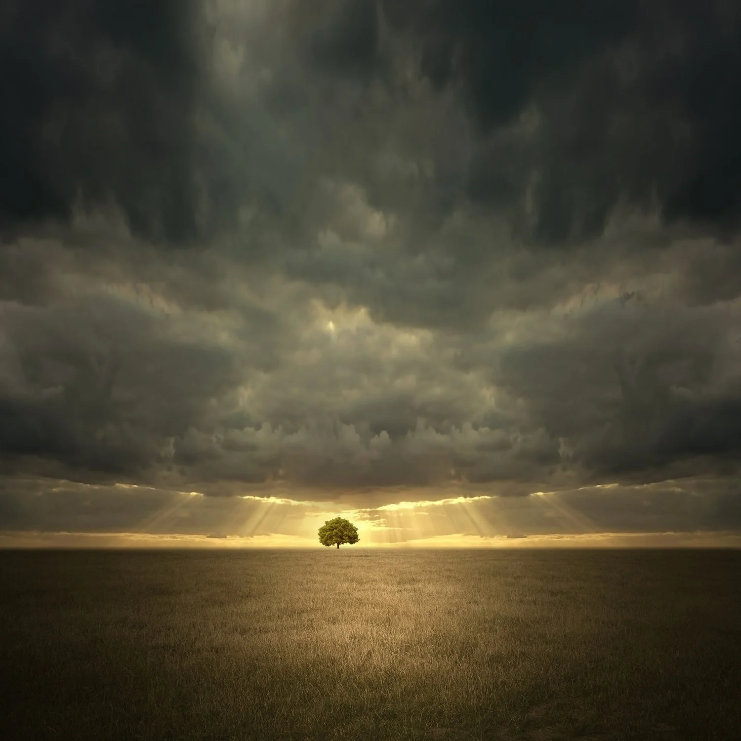 evening falls