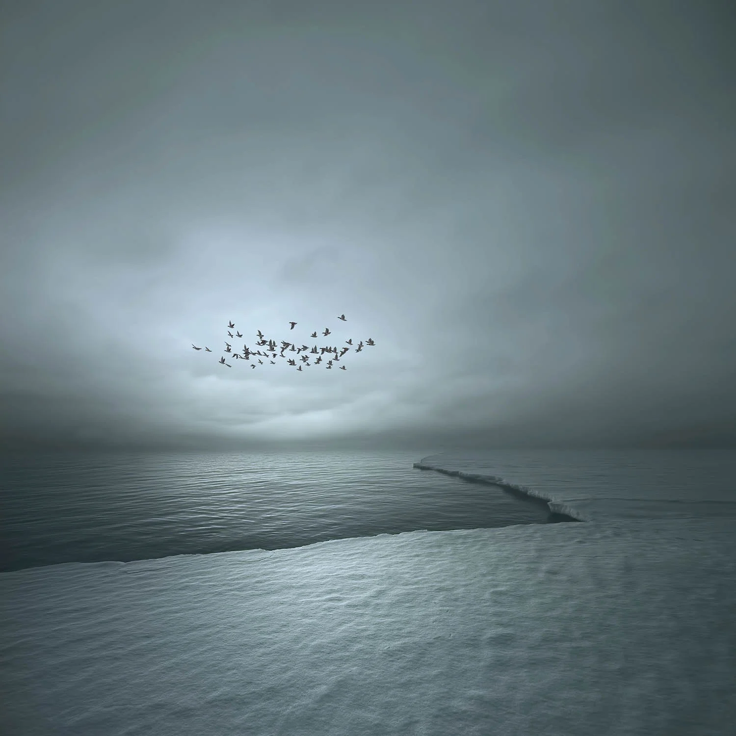 signs of life