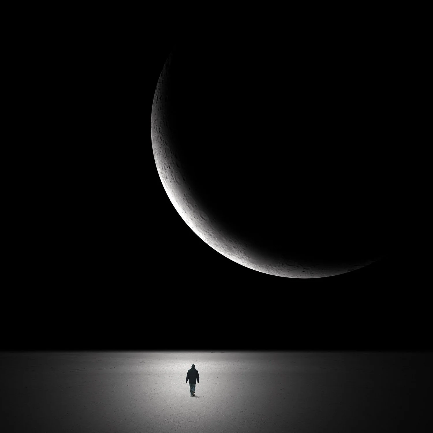into the moonlight