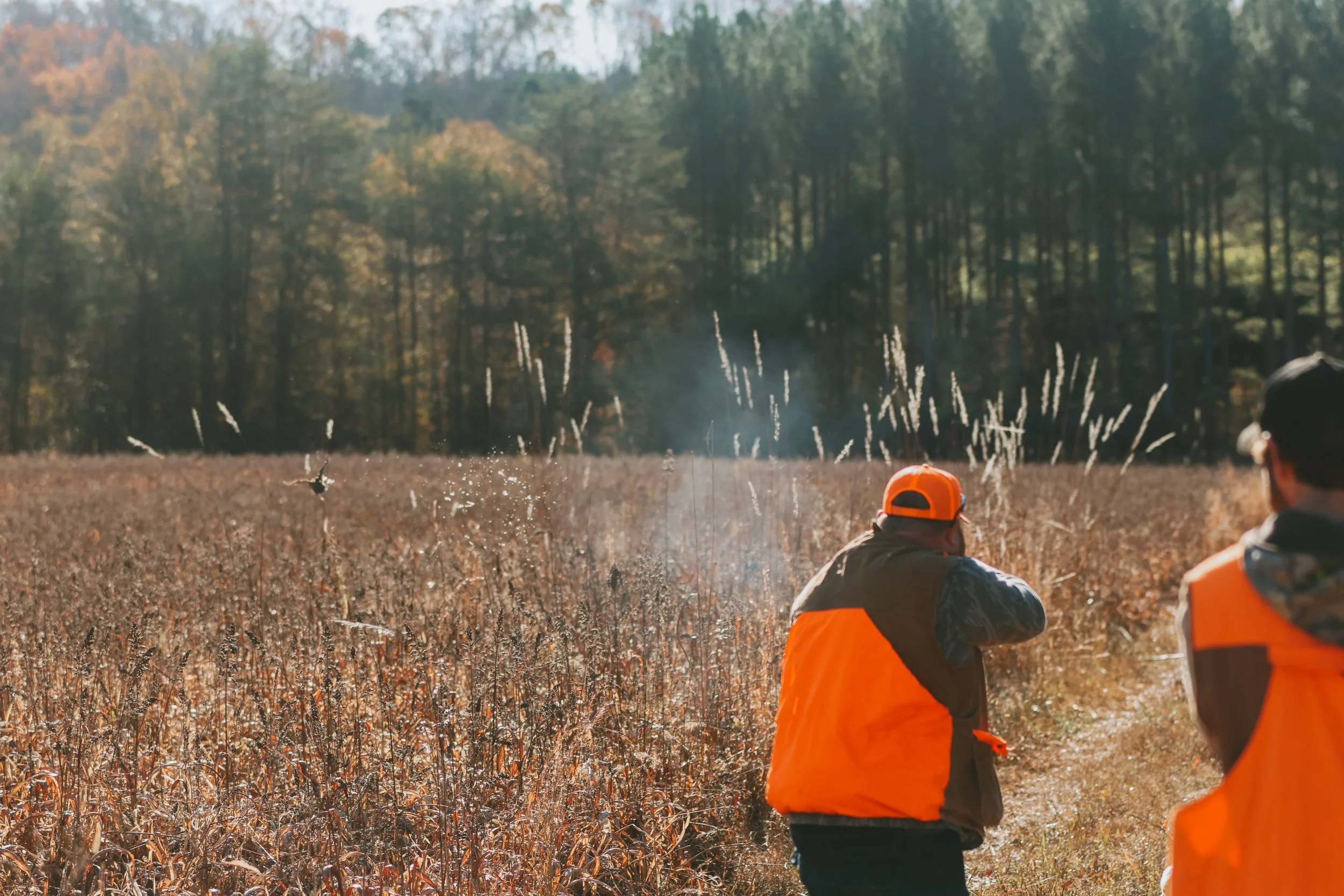 Two hunters in orange vests and hats in a field of tall grass, with a forested background, hunting during the day.