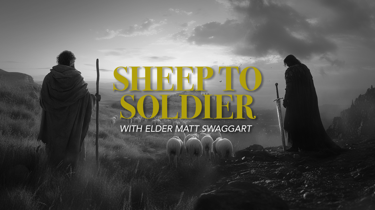 SheepToSoldier.png