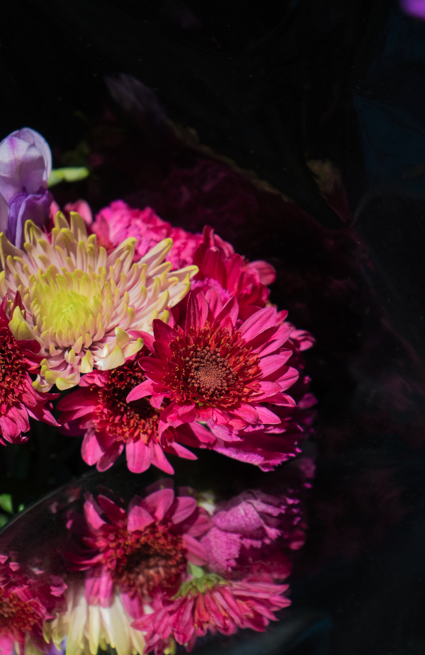 Screenshot 2023-04-04 at 7.11.37 PM.png