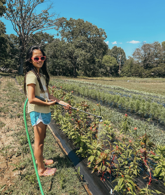 A girl wearing sunglasses watering plants in a garden on a sunny day