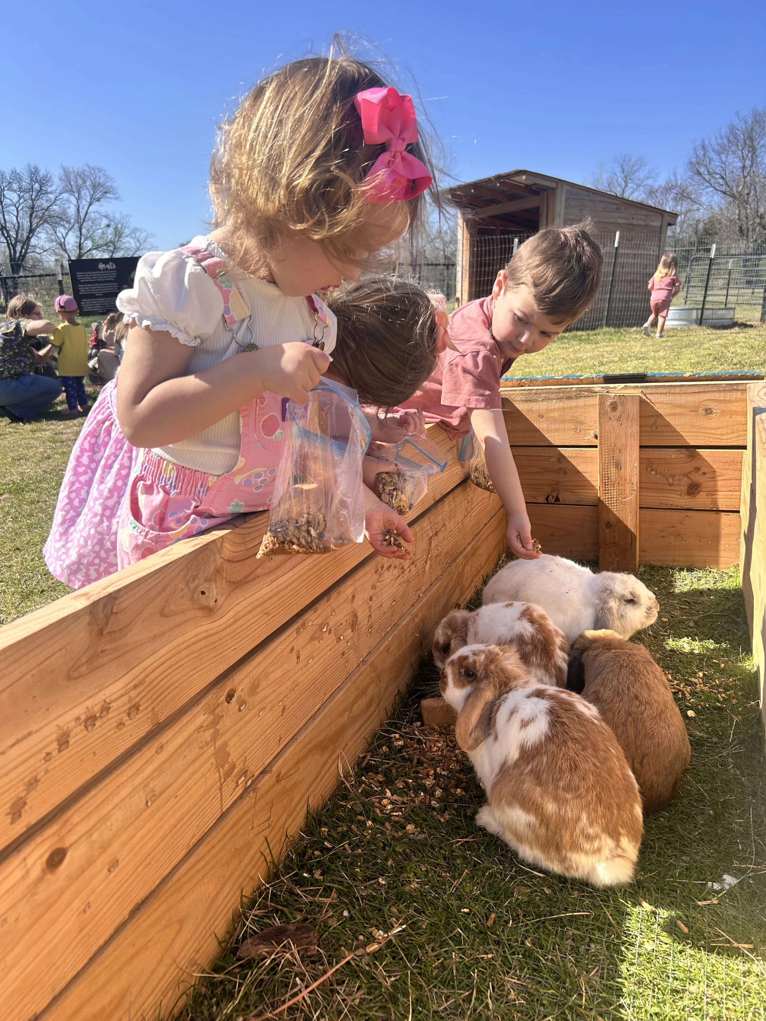 Children feeding and observing rabbits in an outdoor petting zoo with a wooden enclosure, grassy area, and other children in the background on a sunny day  at The Flower Meadow Flower Farm and Barnyard in Coweta, Ok.