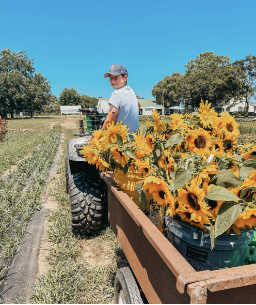 A young boy on a farm riding a utility vehicle with a trailer filled with bright yellow sunflowers. The background features farmland and blue sky.