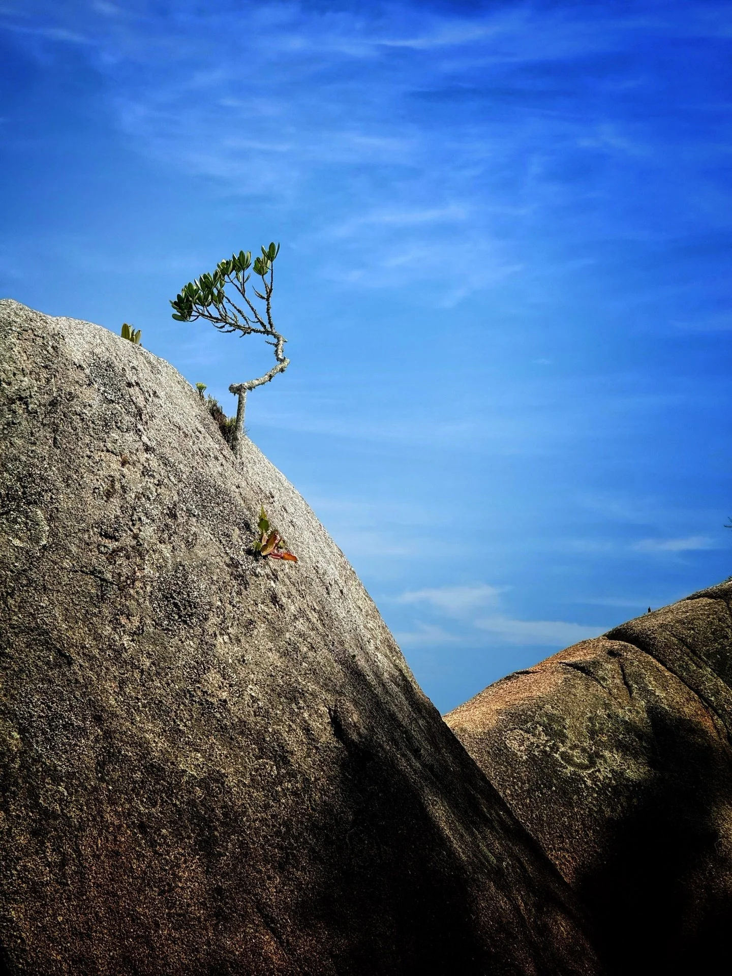 Tema: Natureza

Aten&ccedil;&atilde;o &agrave;s regras para participar👇

▪️Prazo para realizar as publica&ccedil;&otilde;es: 03/03/2026 at&eacute; &agrave;s 00h

▪️As imagens devem ser feitas com celular.

▪️Poste no seu feed do Instagram e utilize 