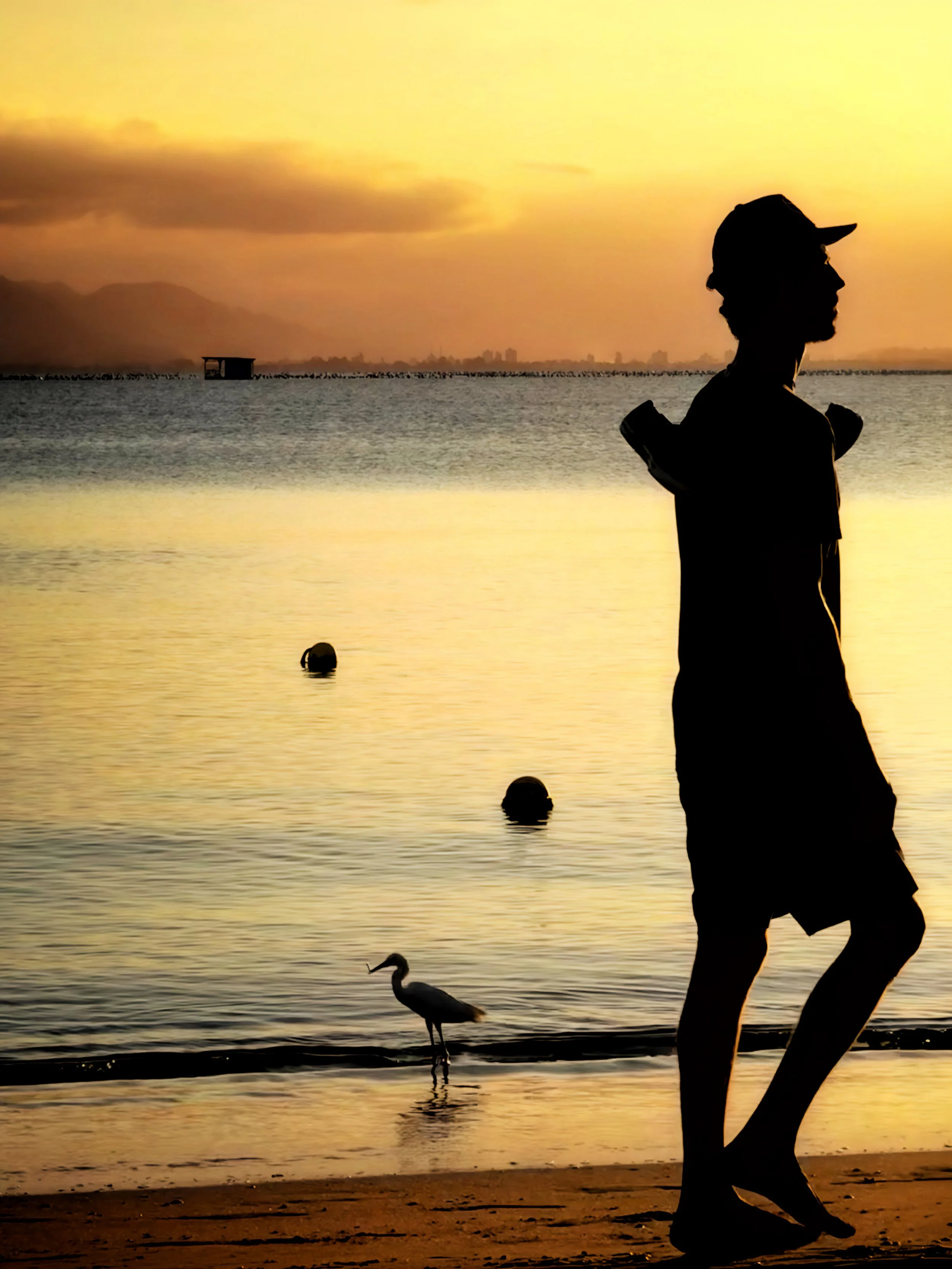 Silhueta de um homem caminhando na praia ao pôr do sol, com uma garça na beira da água e o mar ao fundo.
