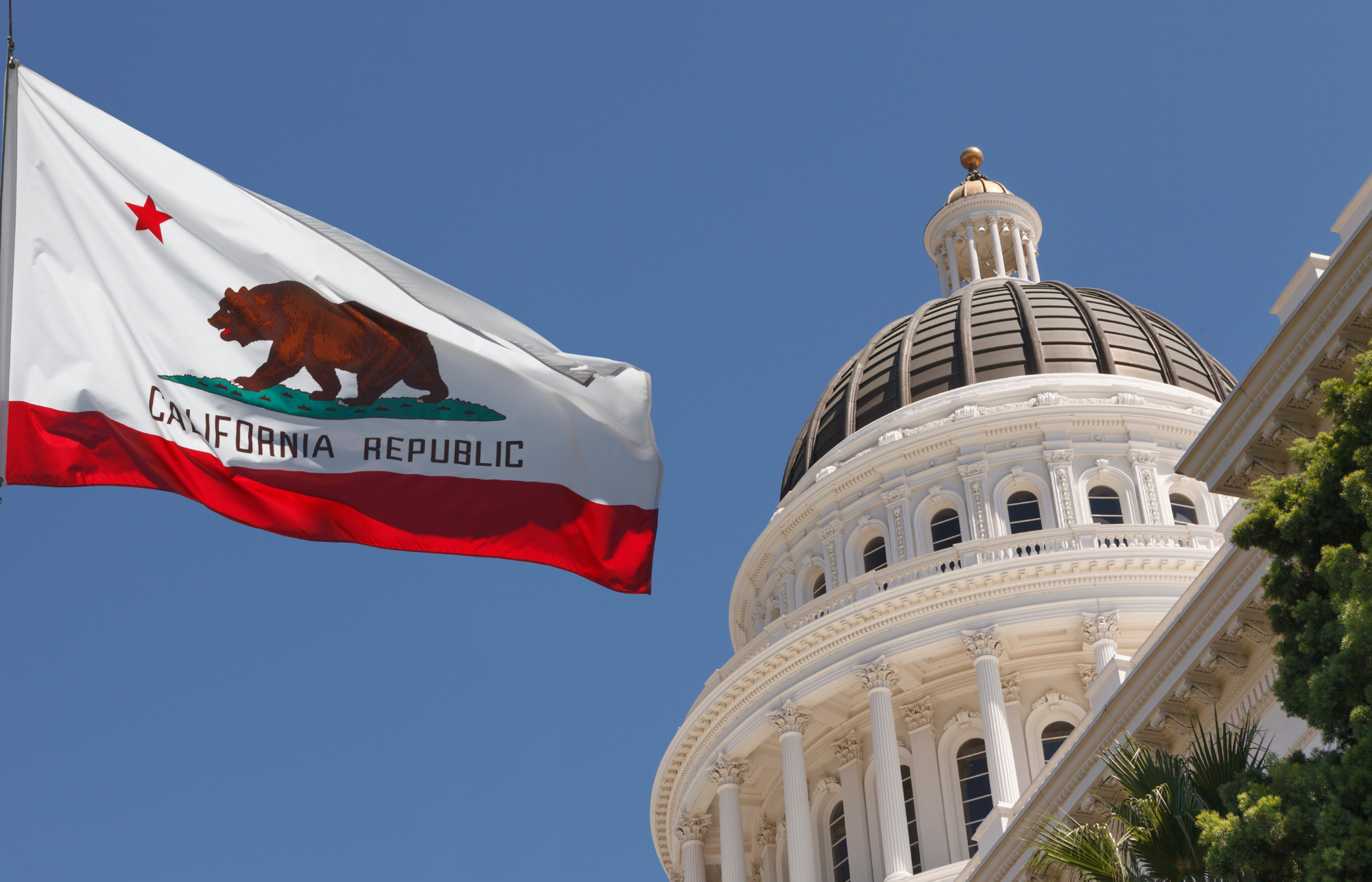 California’s Voluntary Carbon Market Disclosures Act (AB 1305)