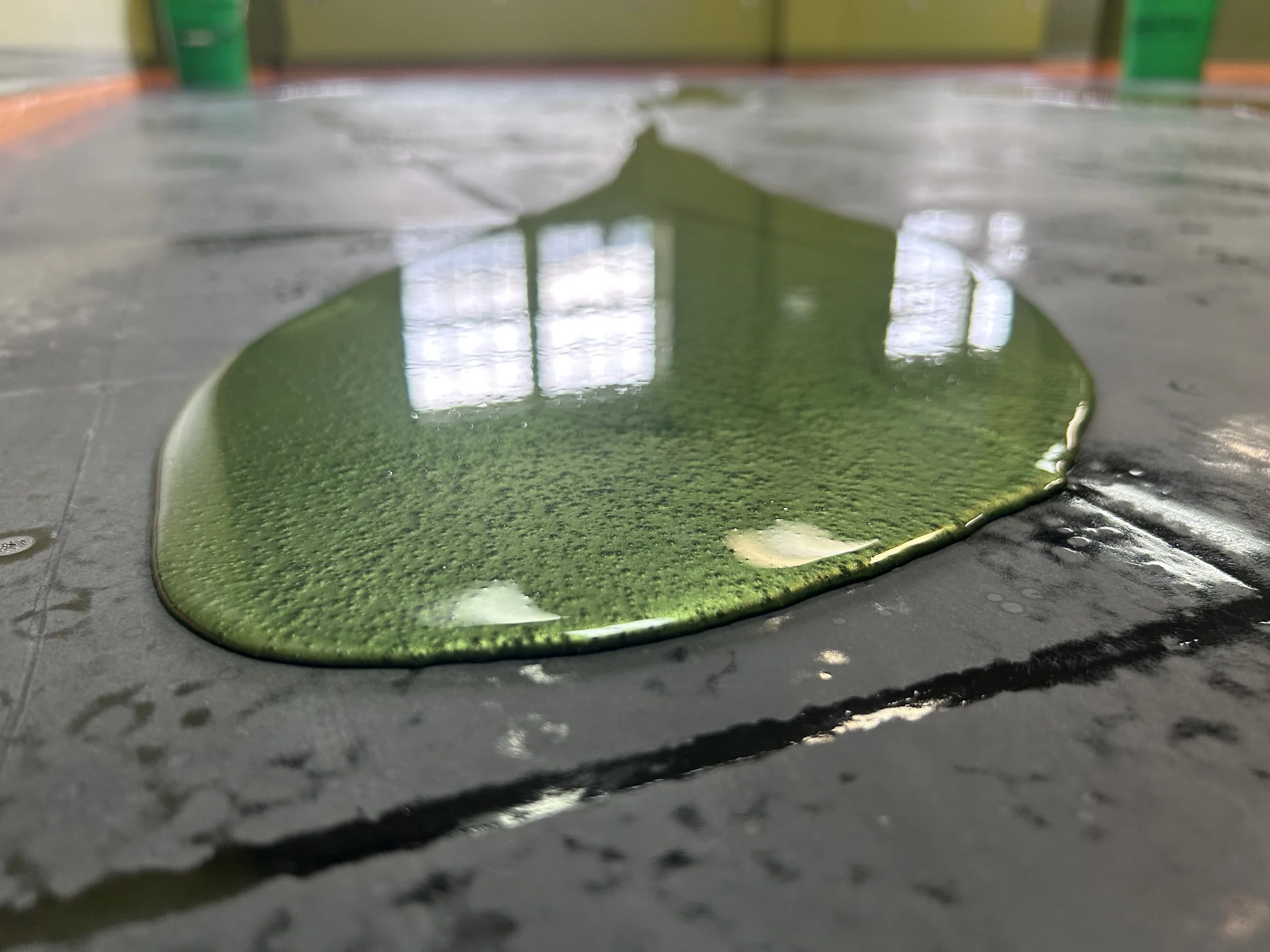 A close-up of a puddle of green paint on a dark textured floor, with reflections of windows.