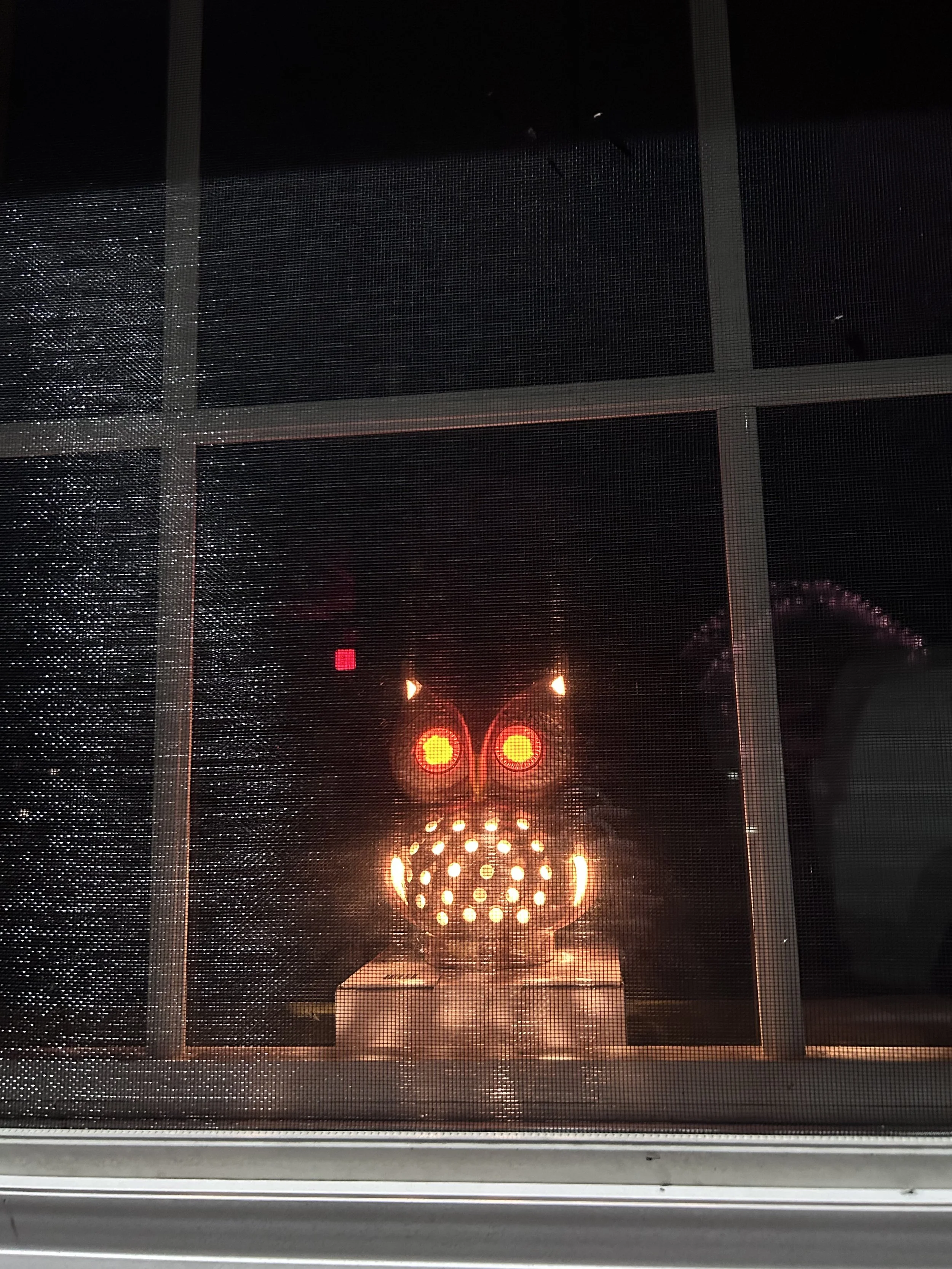 A decorative LED light in the shape of a spider with glowing eyes and a round body, viewed through a window screen.