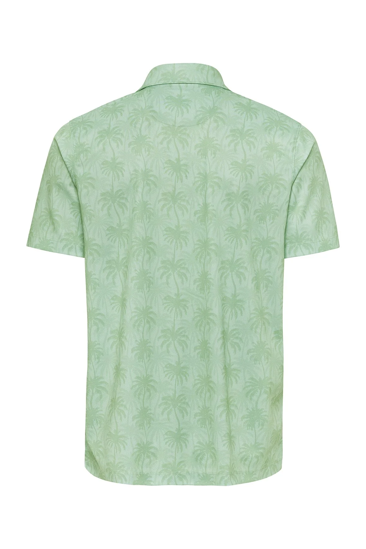 154_PalmGreen_B.jpg