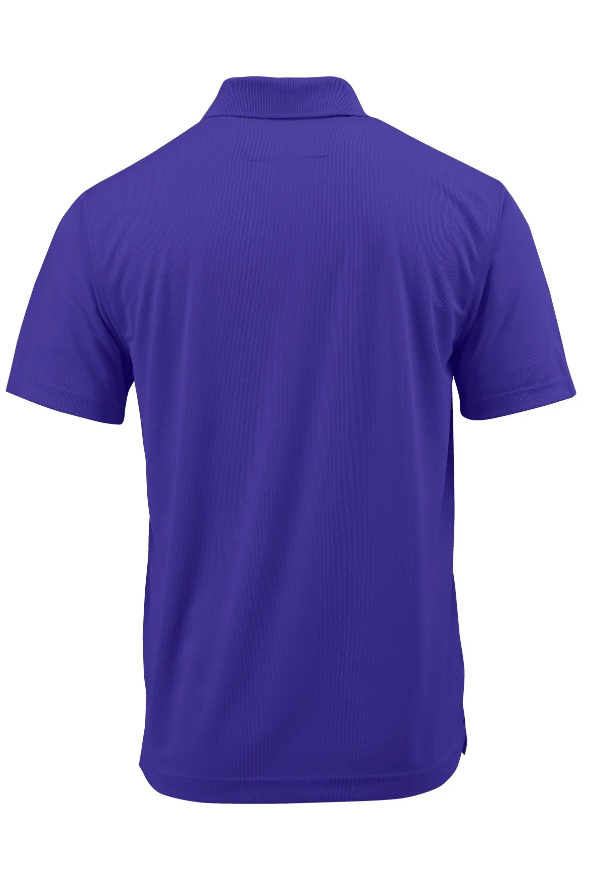 100_PurpleB.jpg