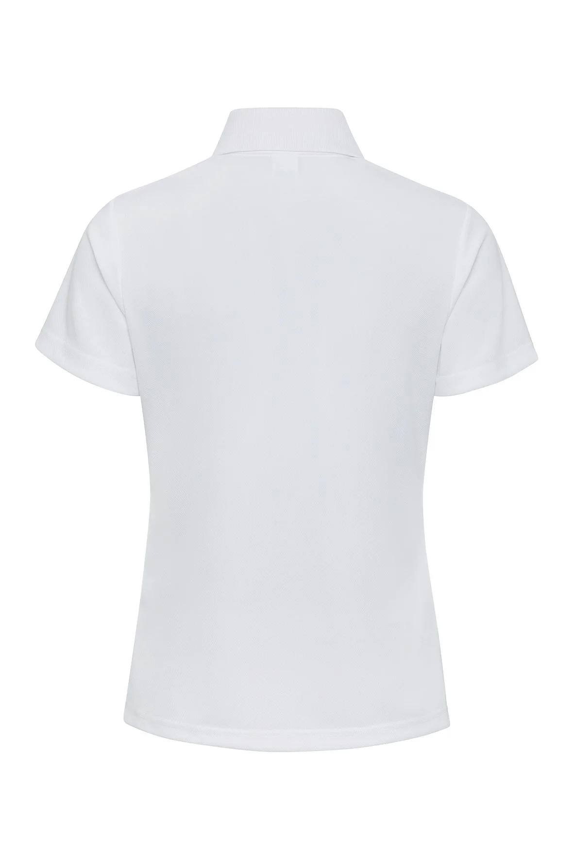 554_White_B.jpg