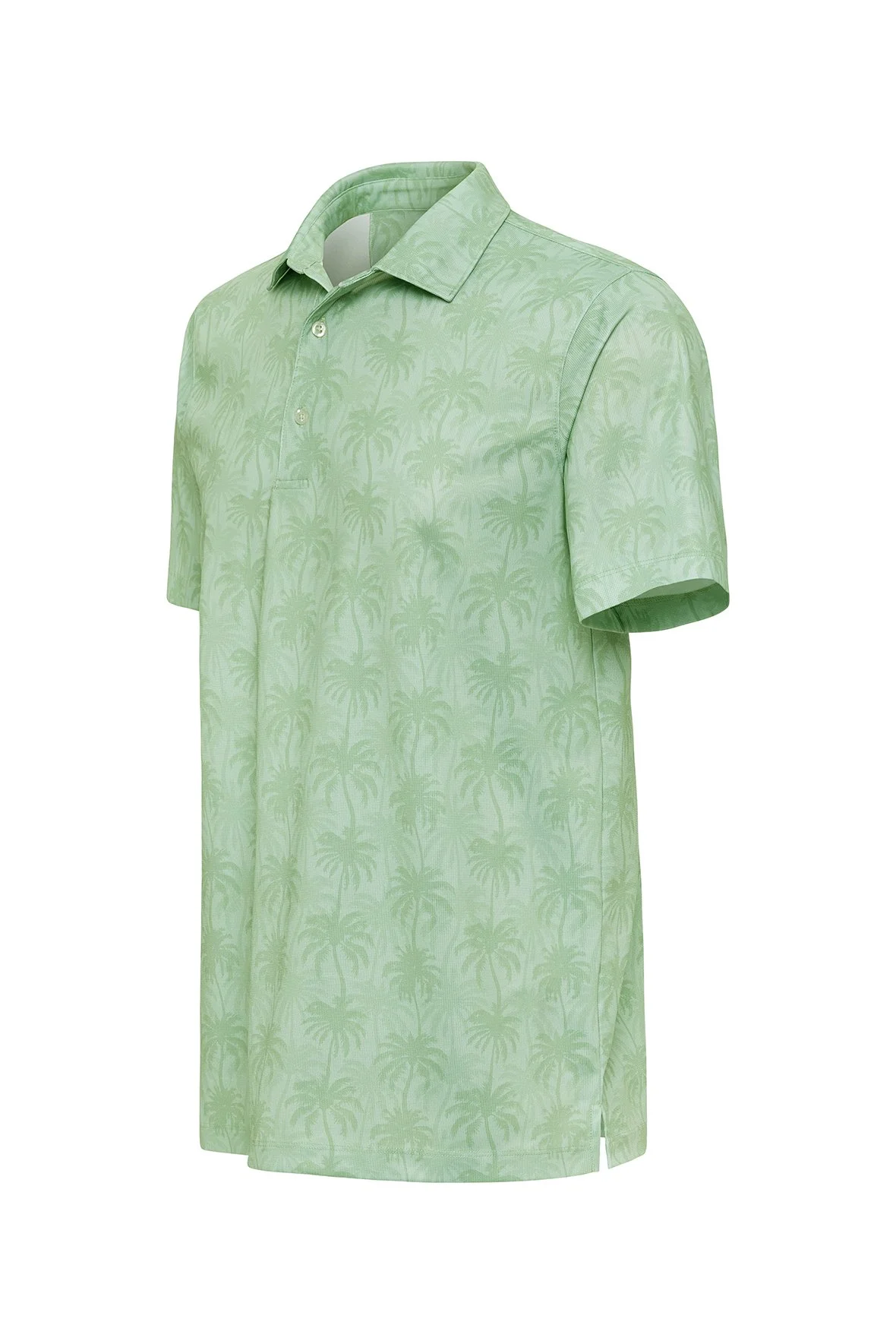 154_PalmGreen_S.jpg