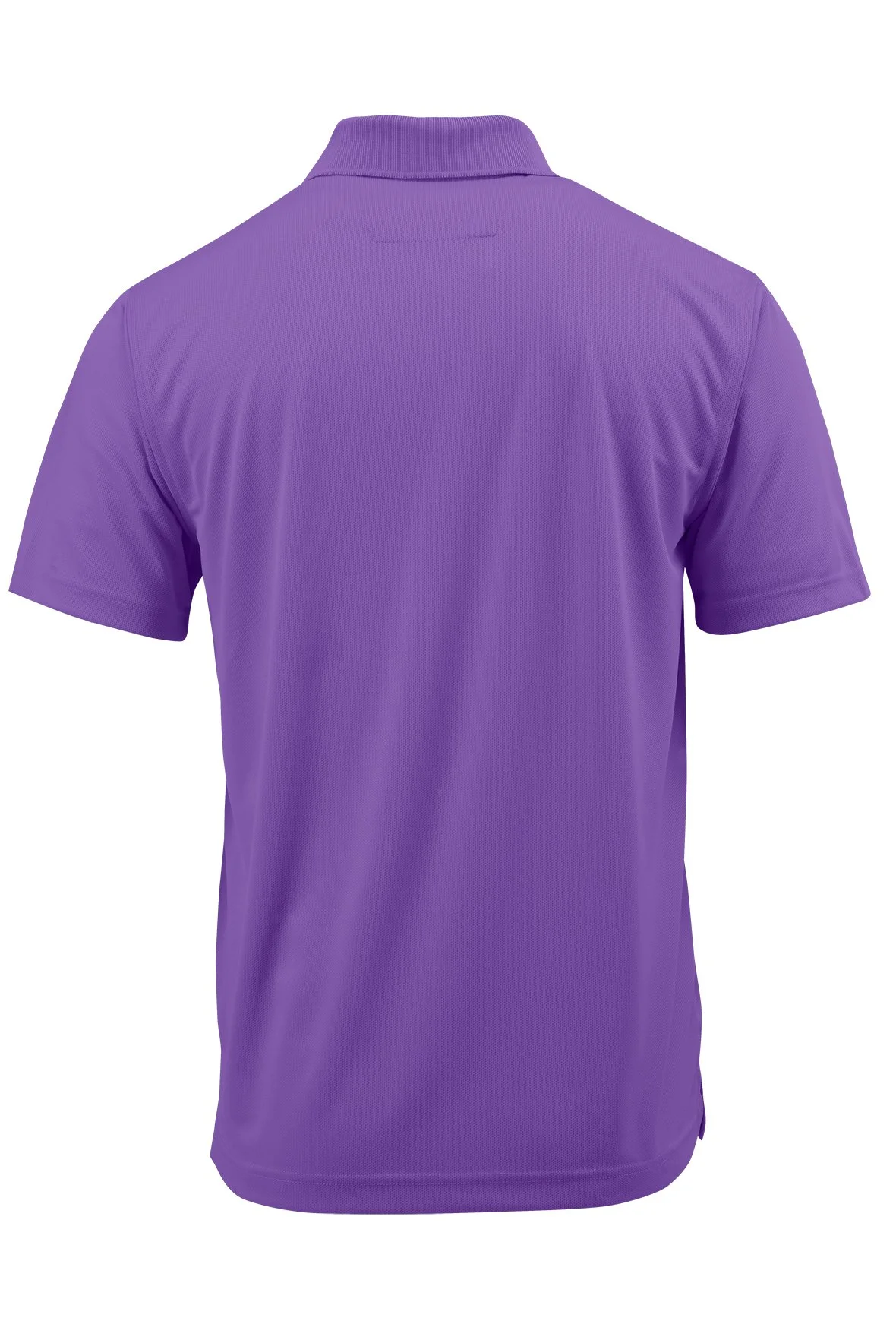 100_GrapeB.jpg