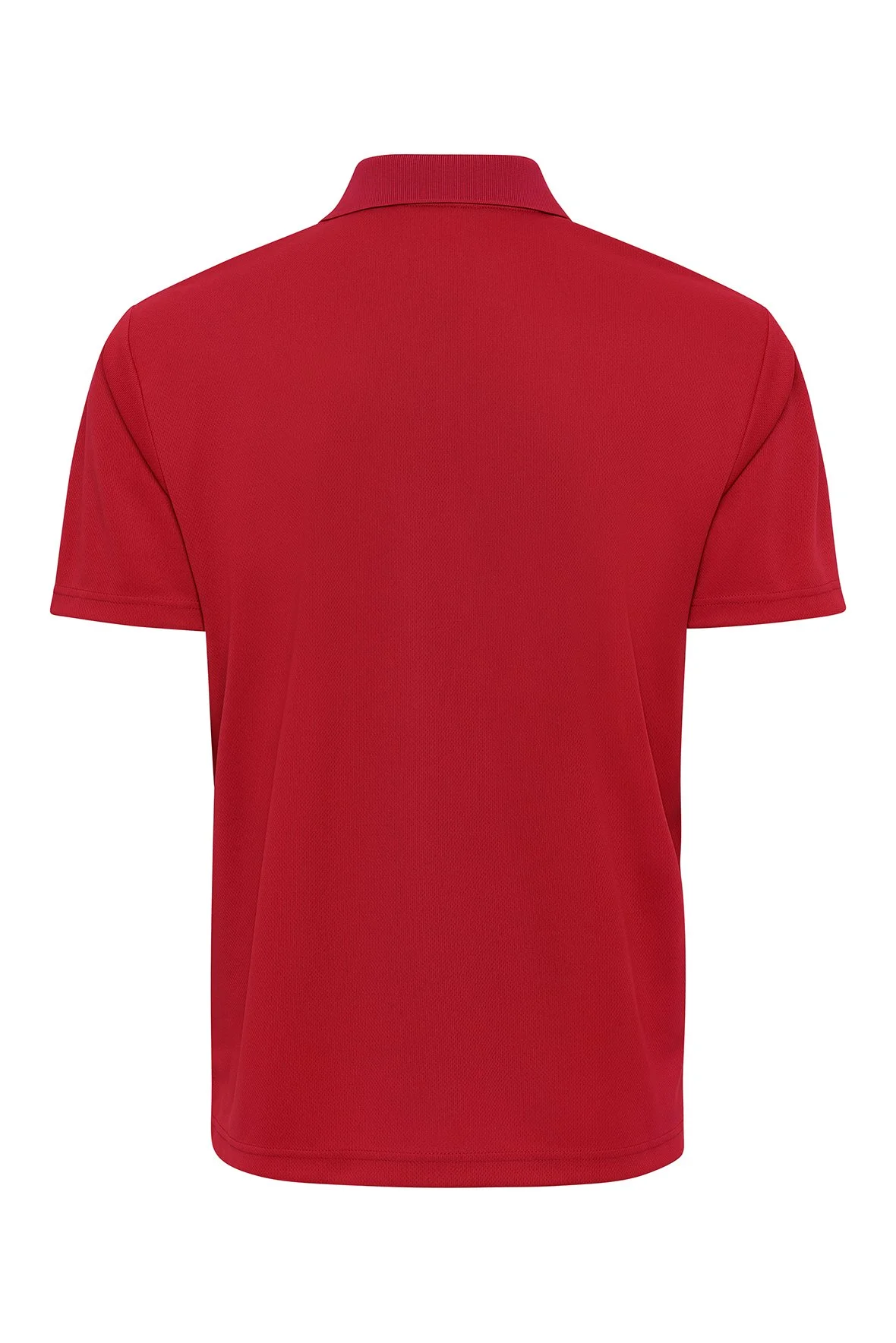 550_Red_B.jpg