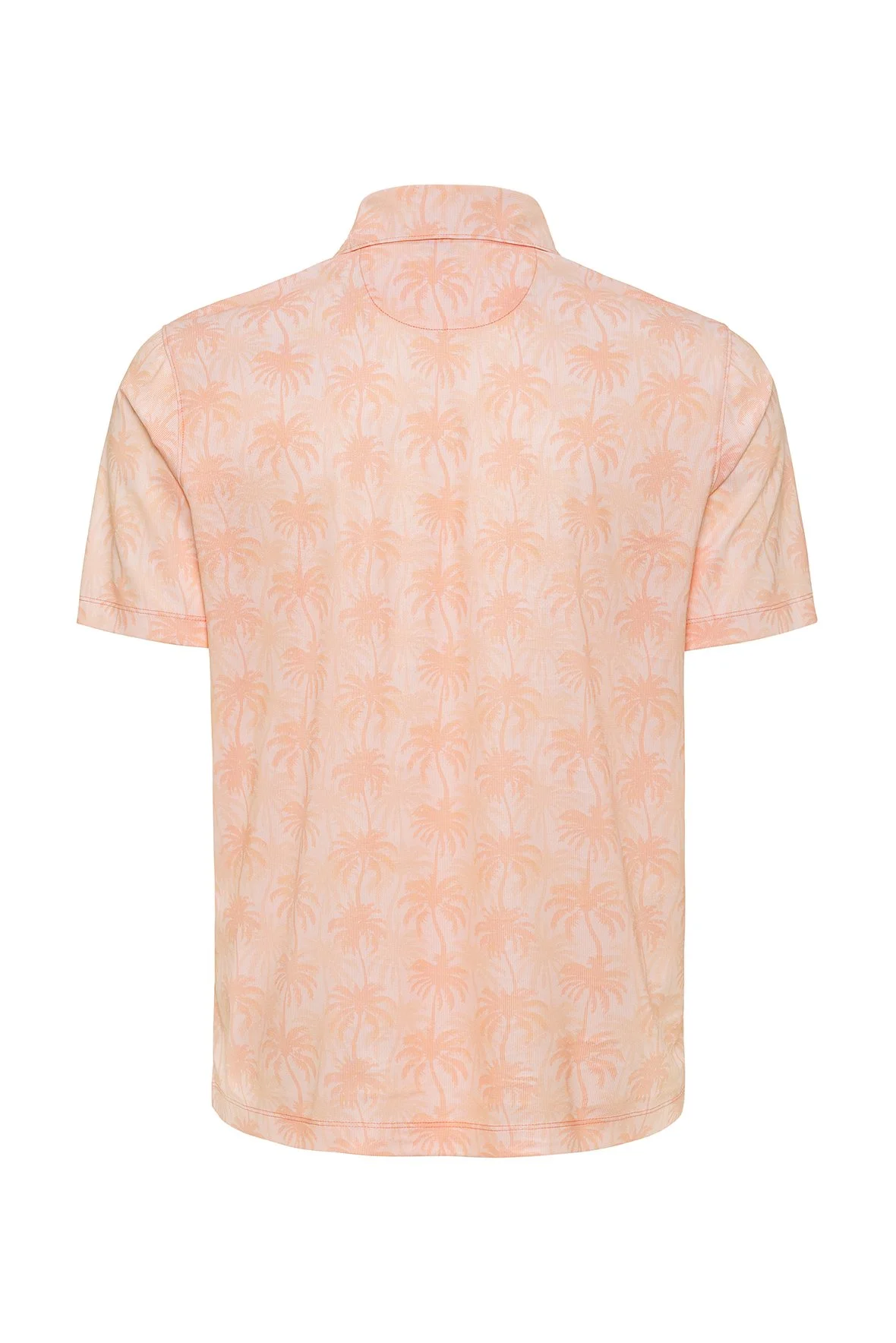 154_Coral_B.jpg