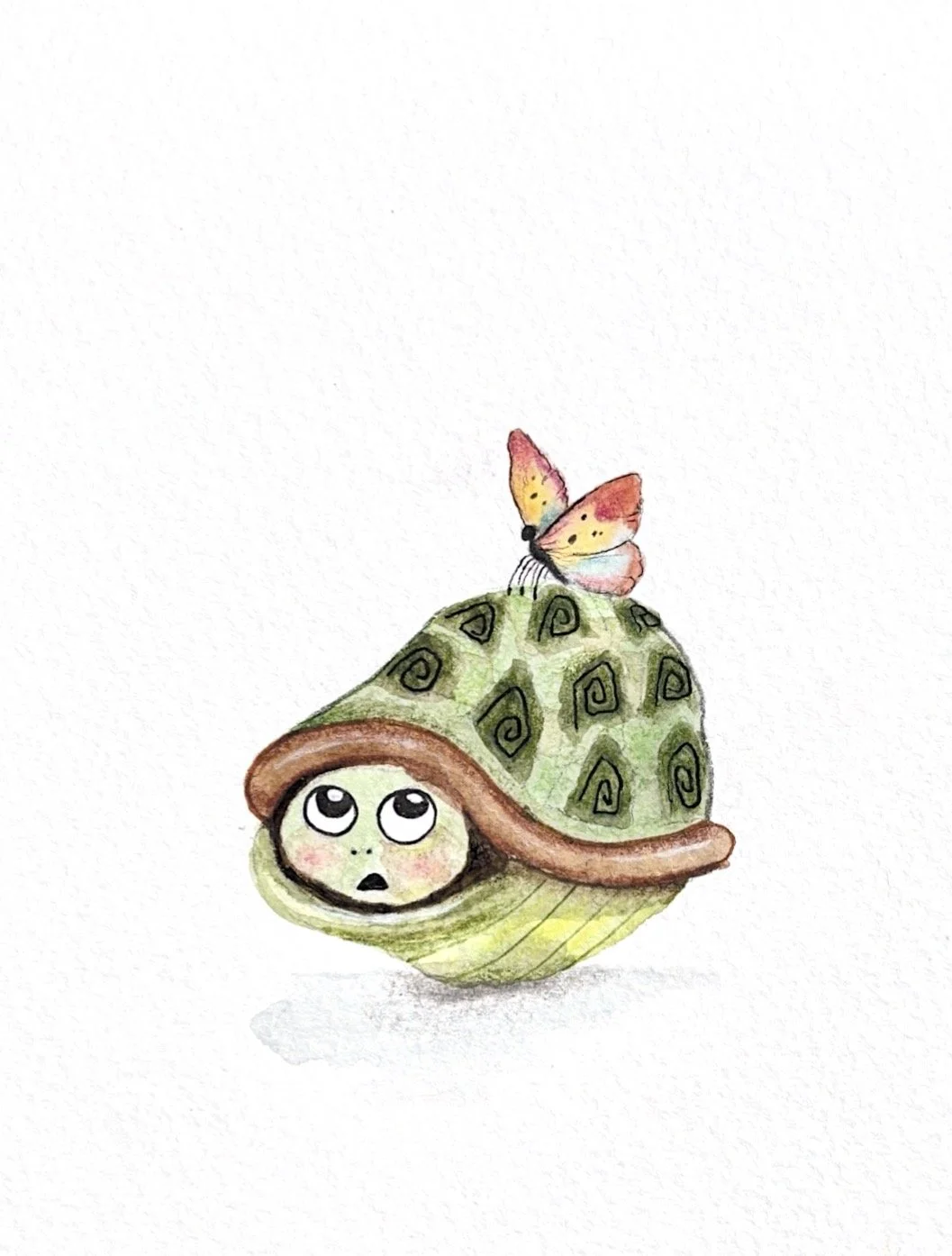 Frightened Turtle