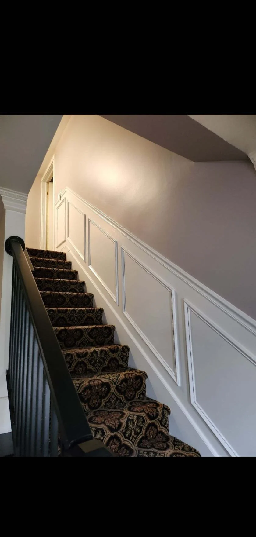 Interior view of a staircase with dark-patterned carpet, white wood-paneled walls, and a black metal railing.
