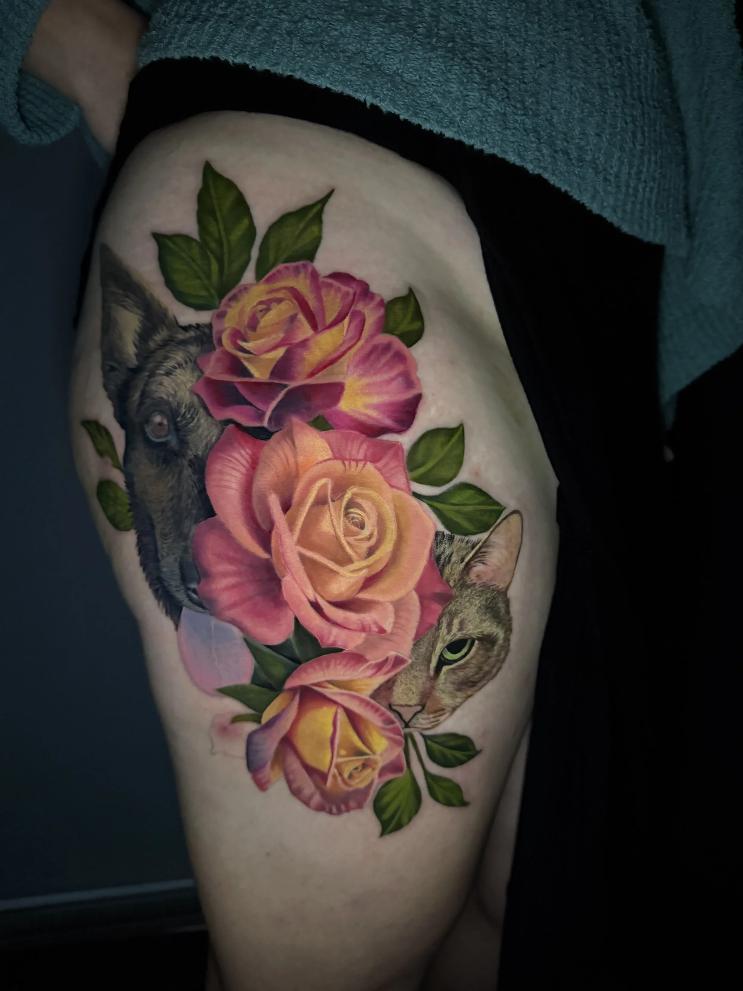 Tattoo of a wolf and a cat surrounded by pink and orange roses with green leaves.