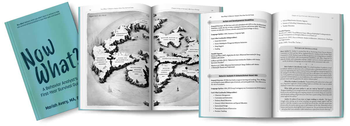 Now What? Survival Guide interior sample