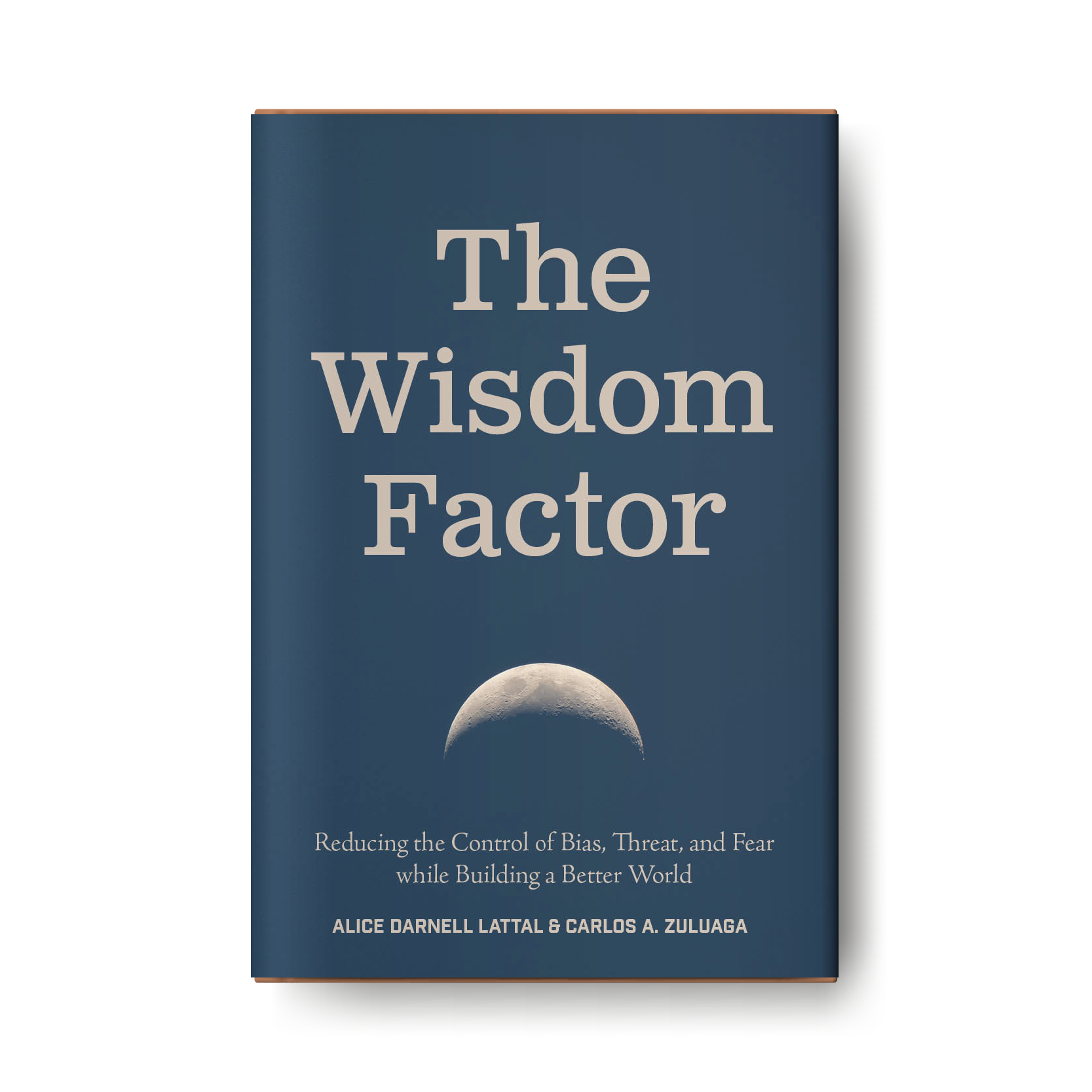 Rejected Cover: The Wisdom Factor