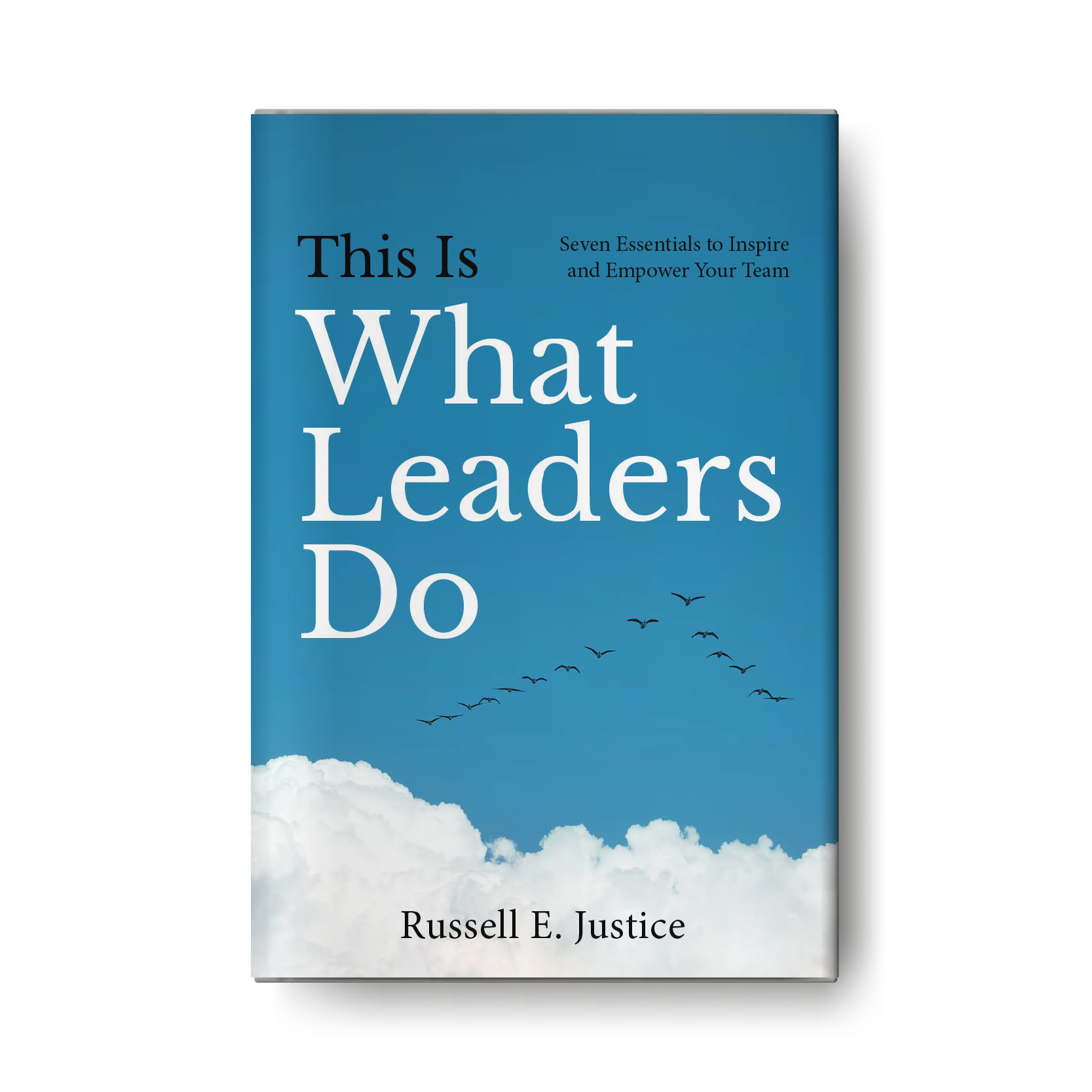 Rejected Cover: This Is What Leaders Do