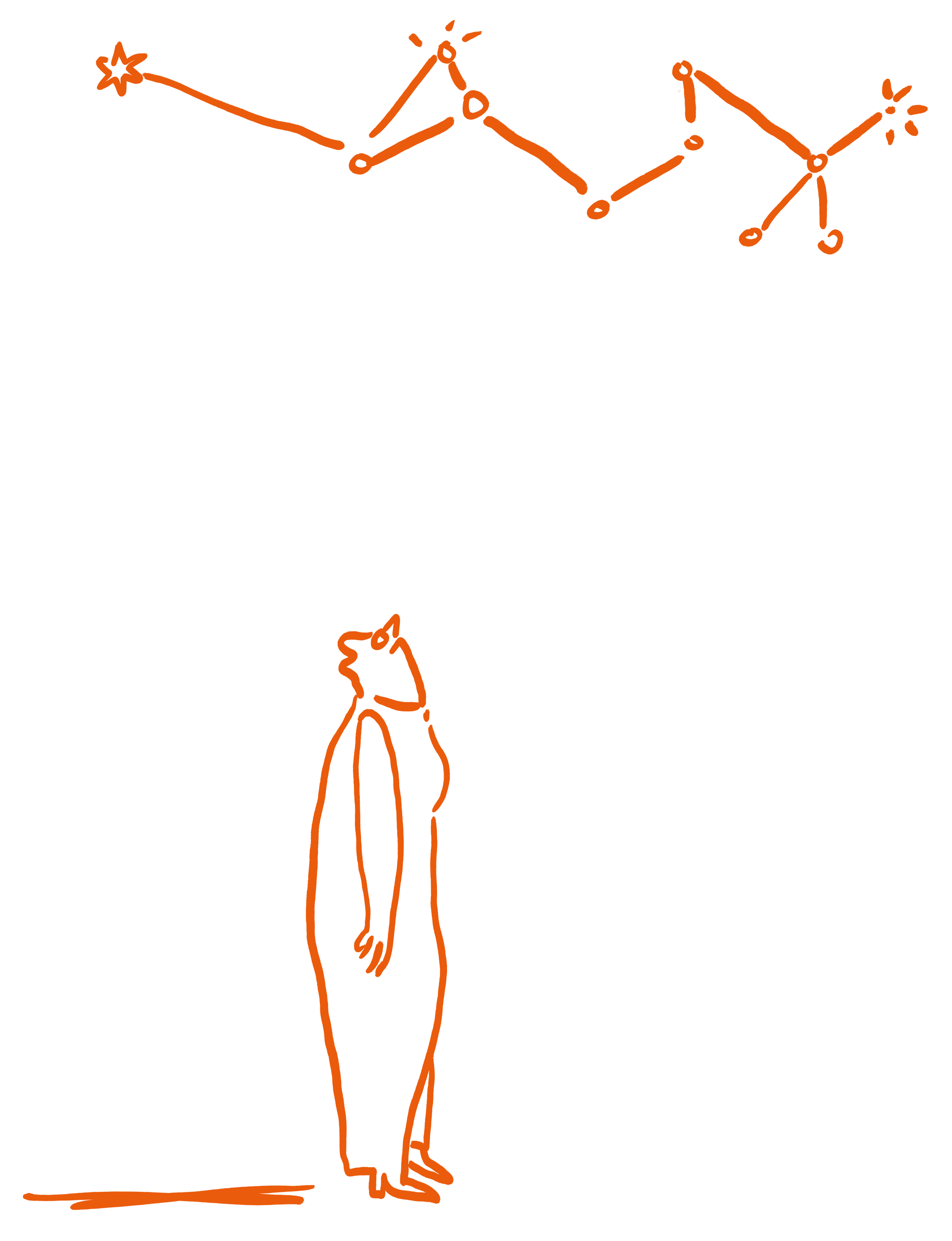 Eine lineare illustrierte Rita-Figur schaut mit fragendem Gesichtsausdruck nach oben in den Himmel, wo durch Linien verbundene Sterne scheinbar ein Sternenbild formen.