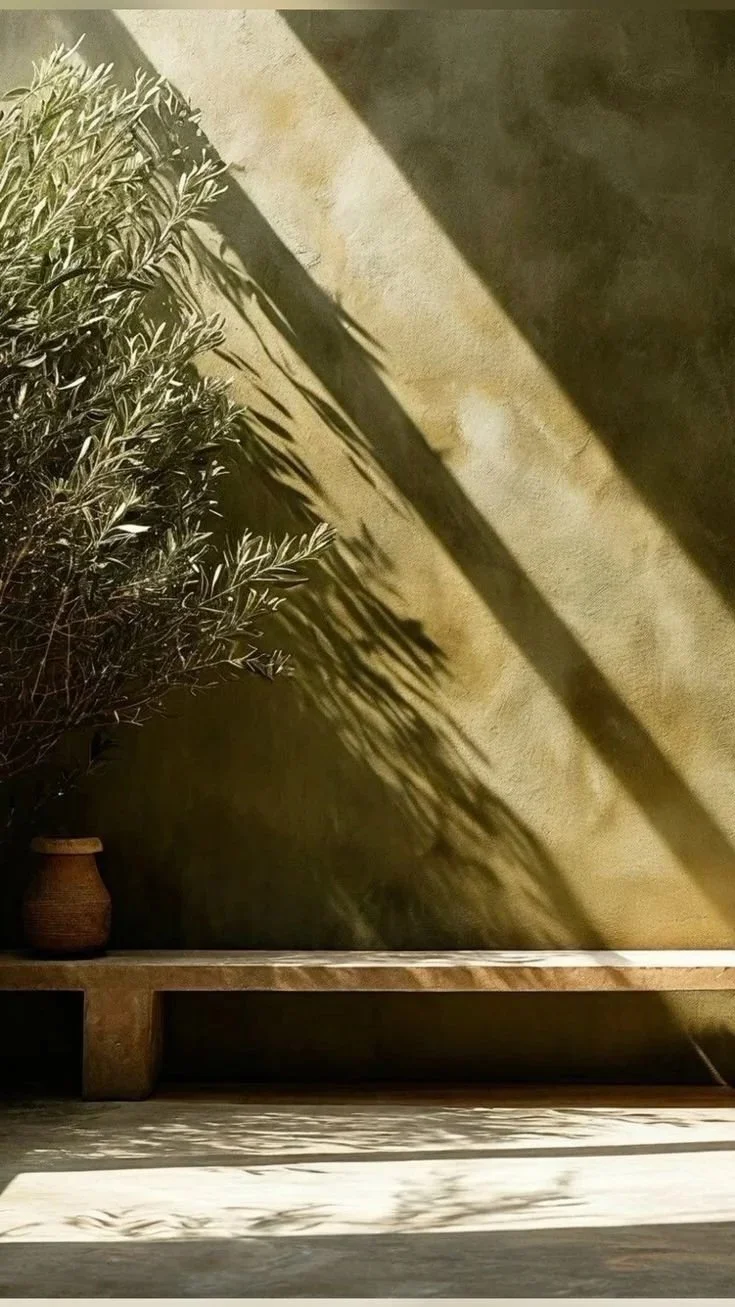 A potted plant with long, narrow leaves casting shadows on a beige wall and a light-colored wooden floor, with a wooden bench or table underneath.