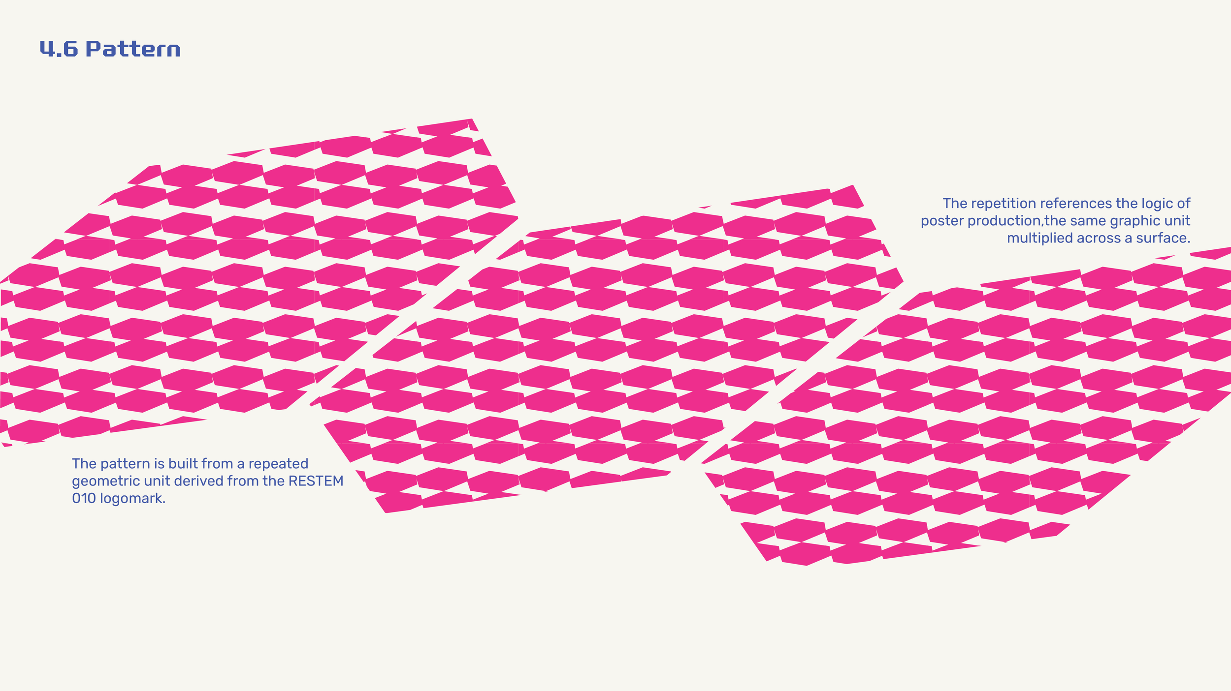 brand guidelines RESTEM 010 (1)-13.png