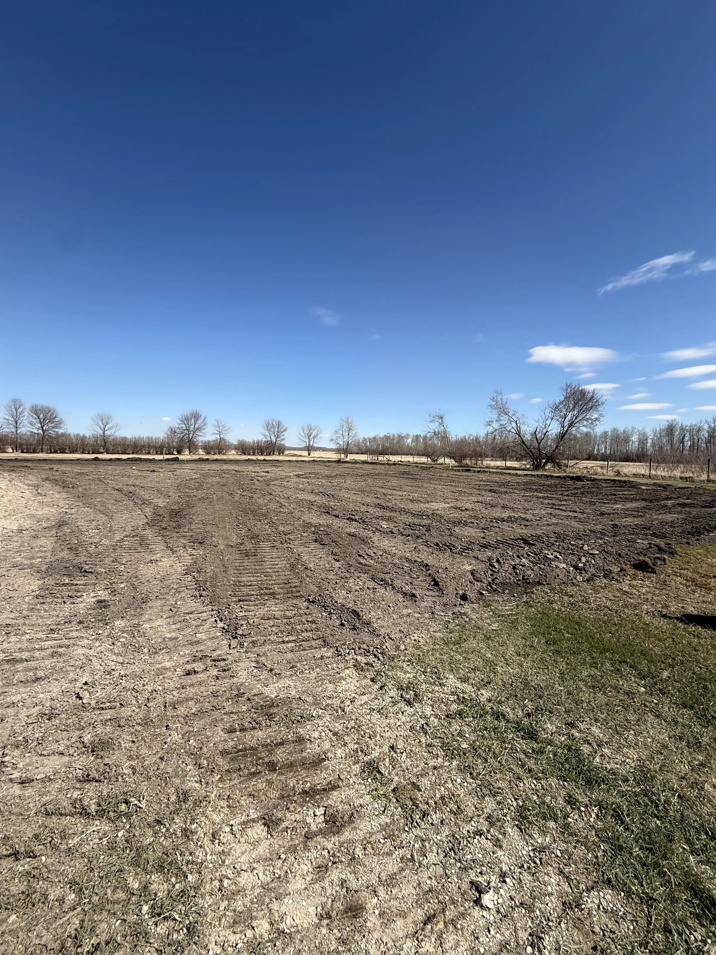 More Than Just Feed - Earthwork Project