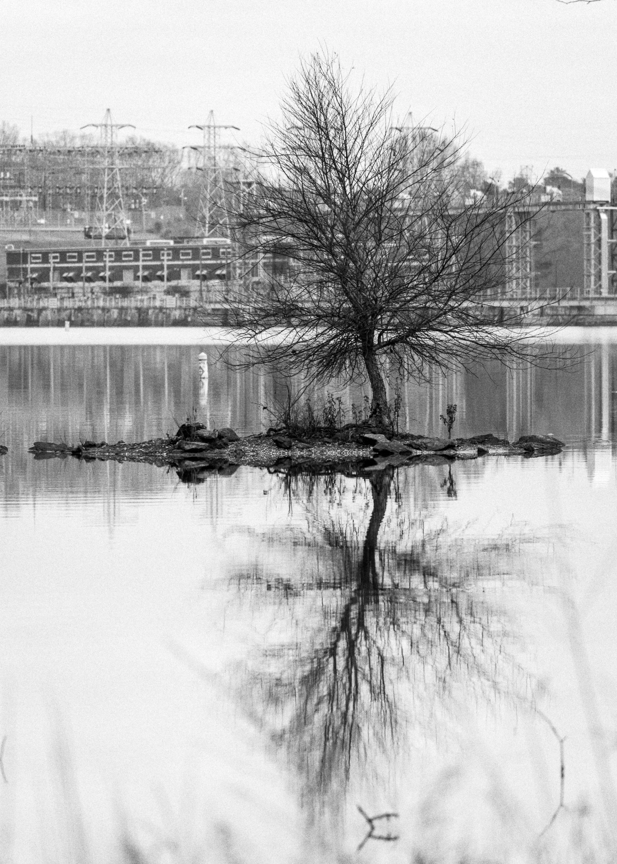 Untitled-6.jpg