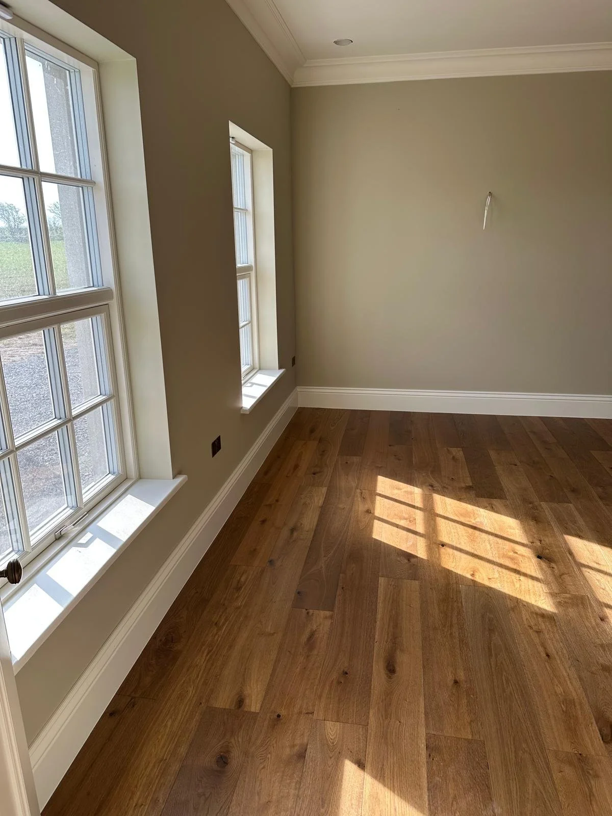 Living room light through windows