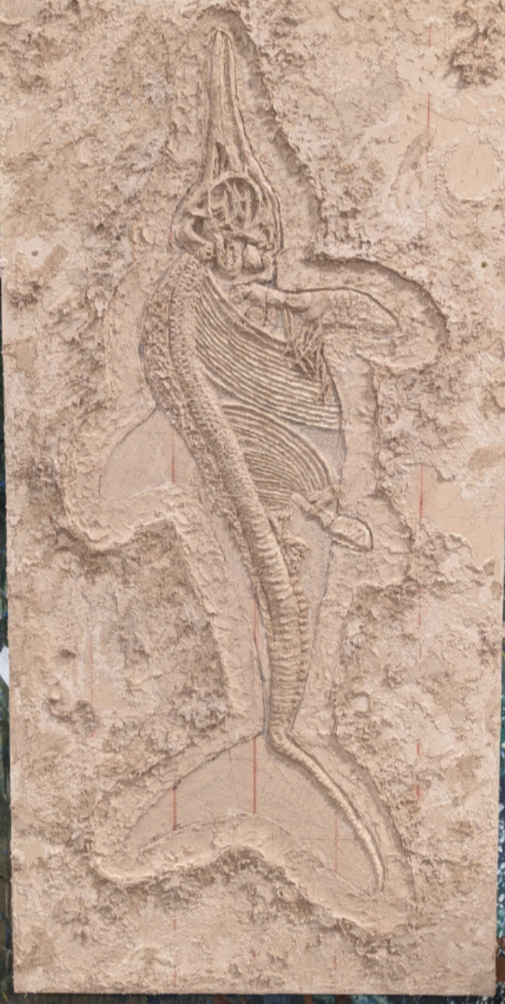 Plaster Texture for Ichthyosaur Fossil.