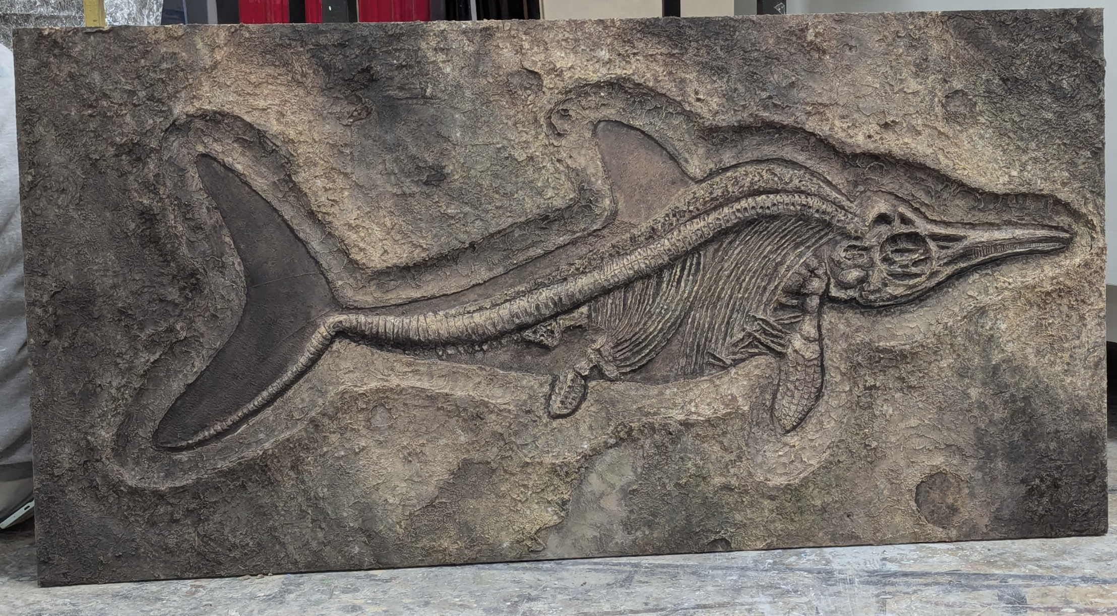 Plaster Texture for Ichthyosaur Fossil.