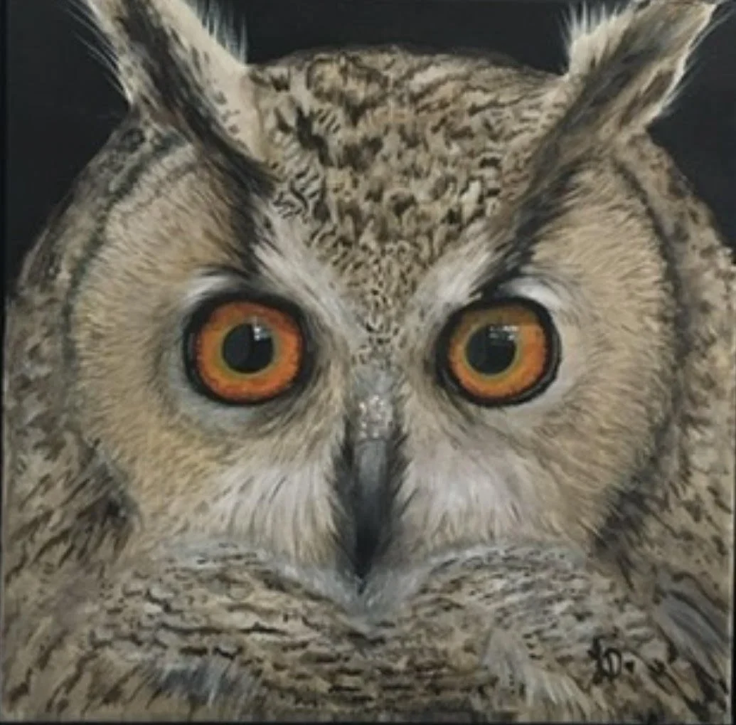 owl.jpg