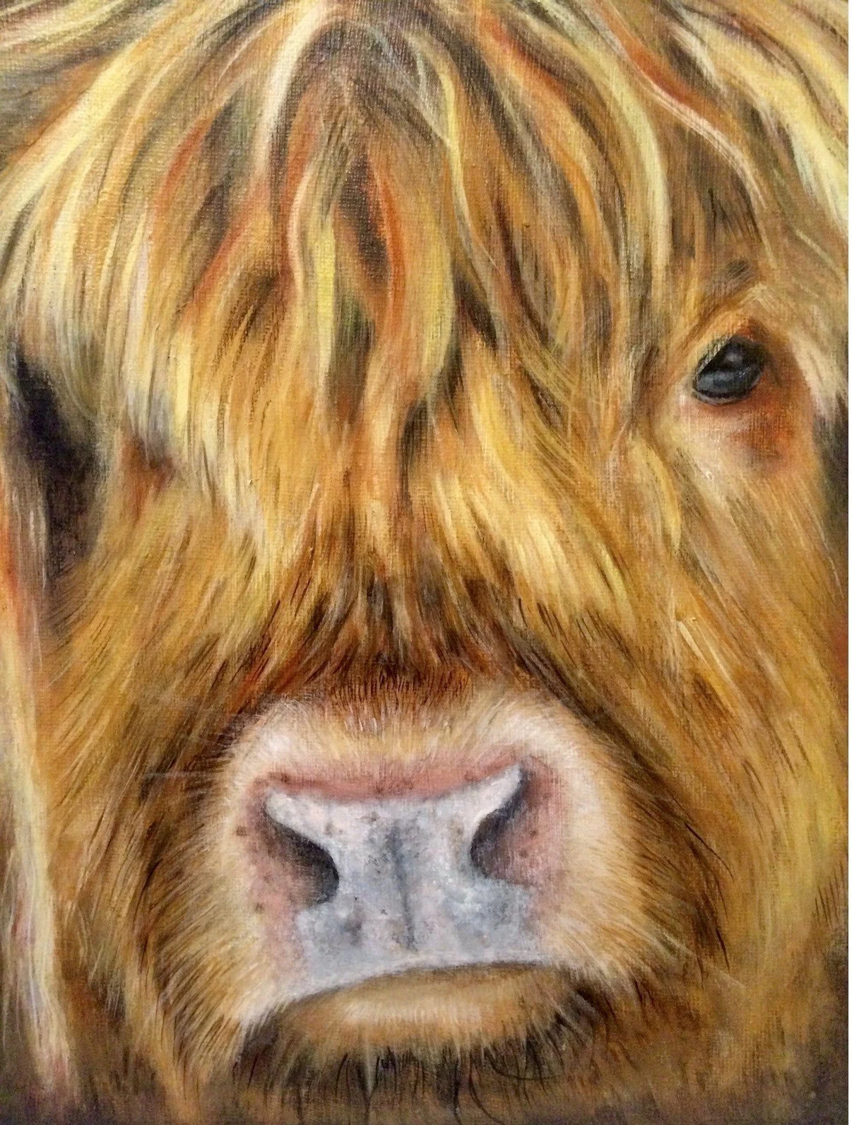 SOLD "HAMISH"