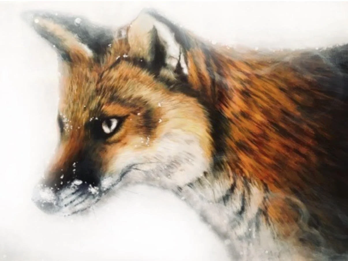fox 1.jpg