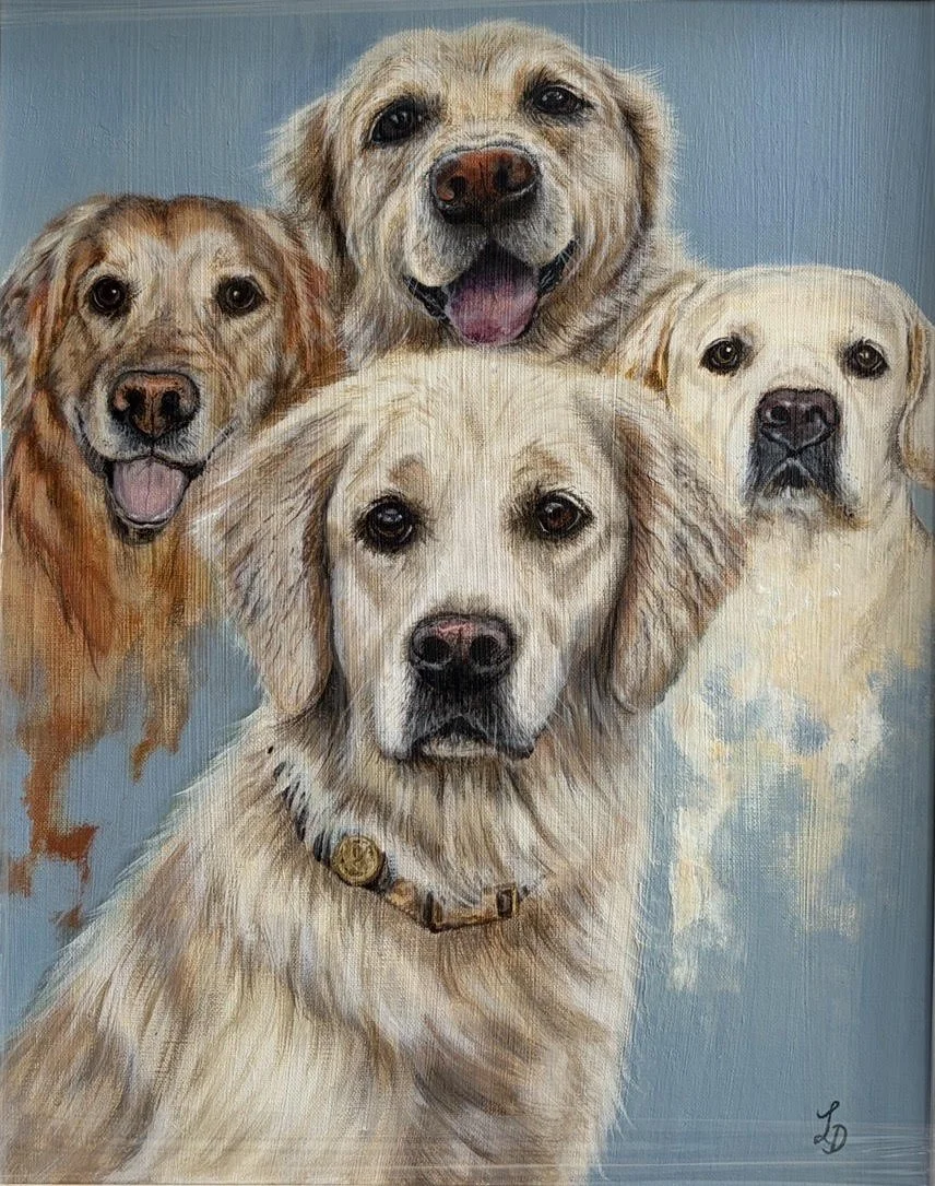 COMMISSION "4 LABS" - ACRYLIC 2026 