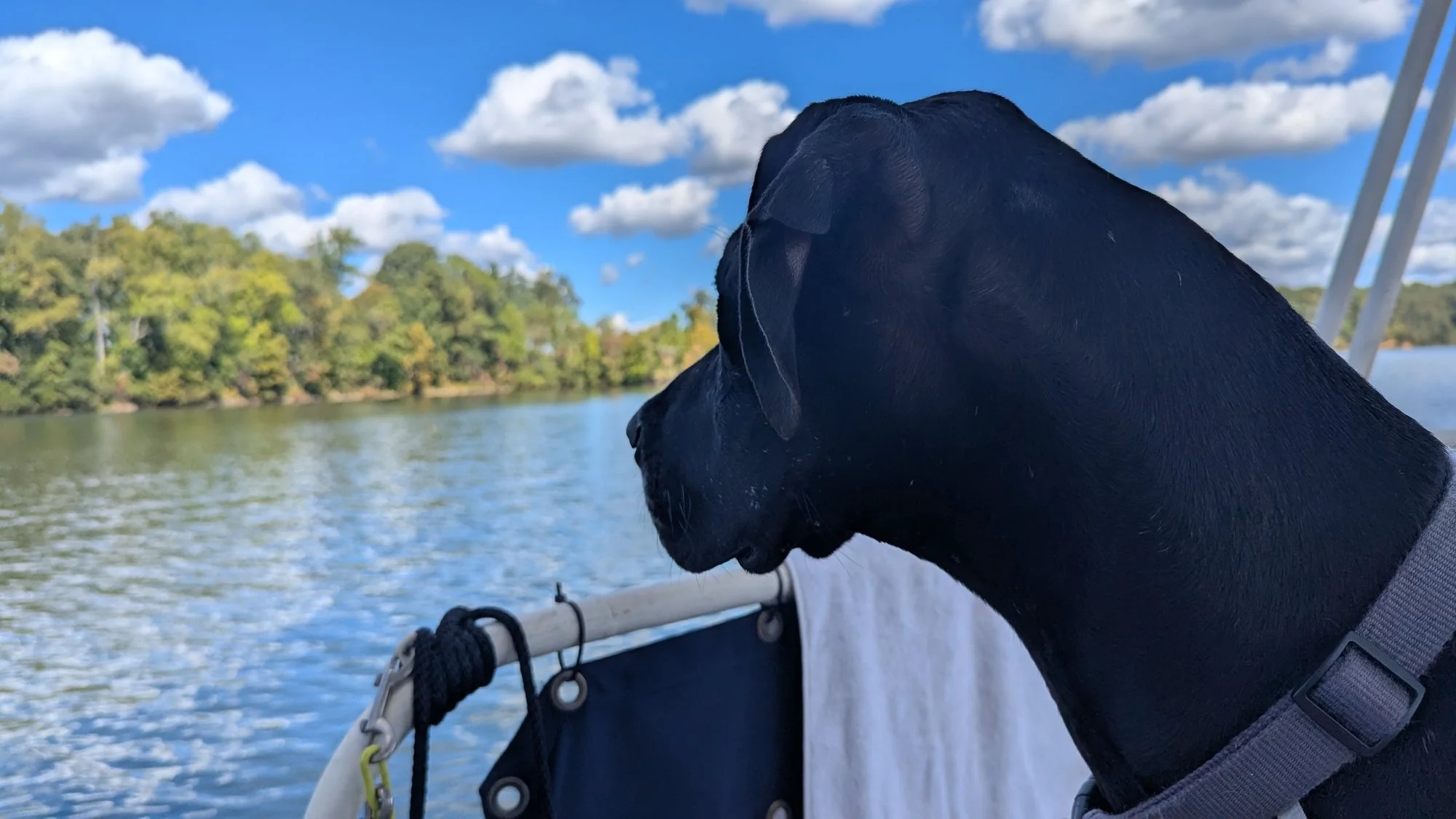03_lilli_boat_view.jpg