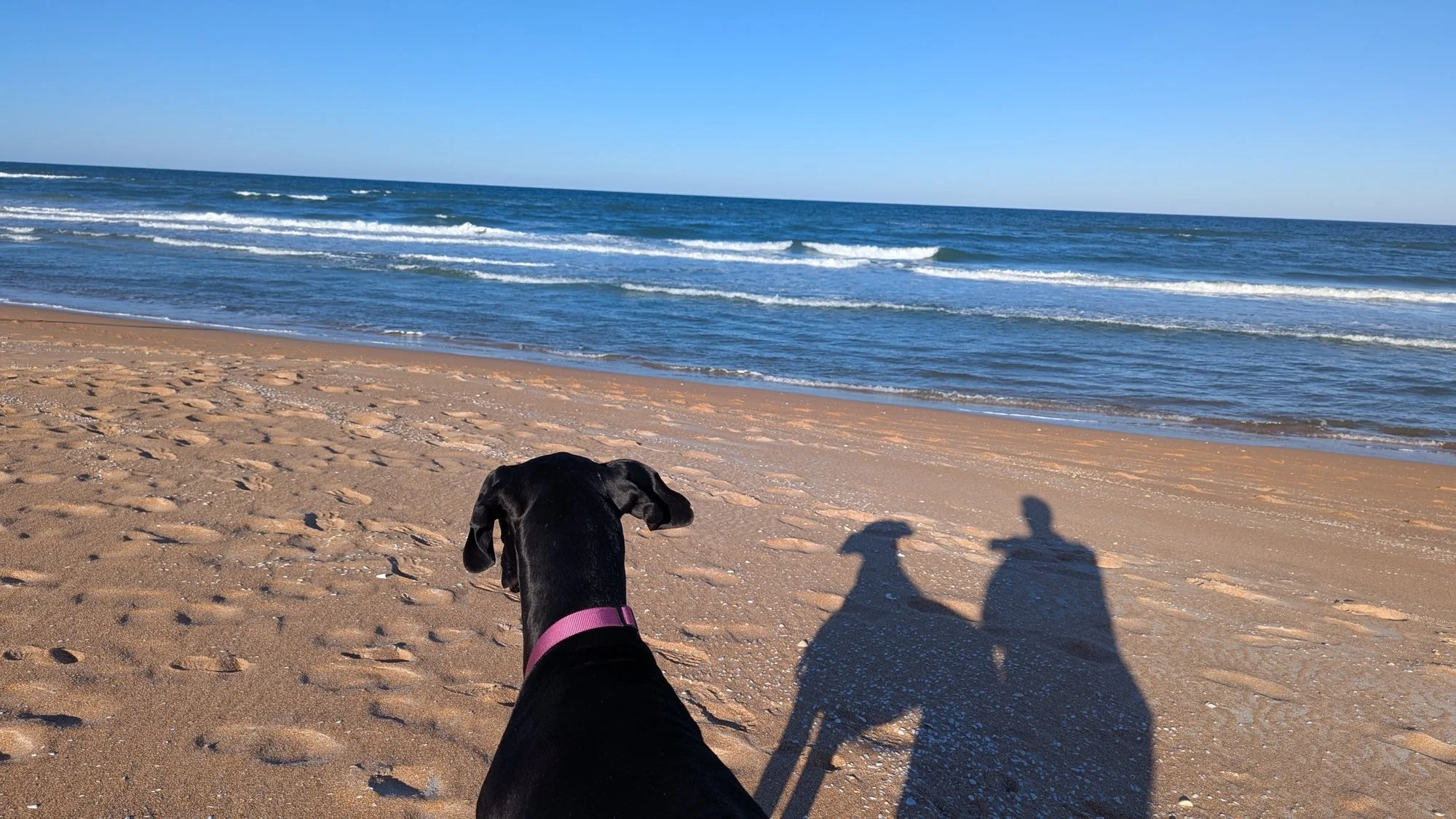 05_beach_shadows.jpg