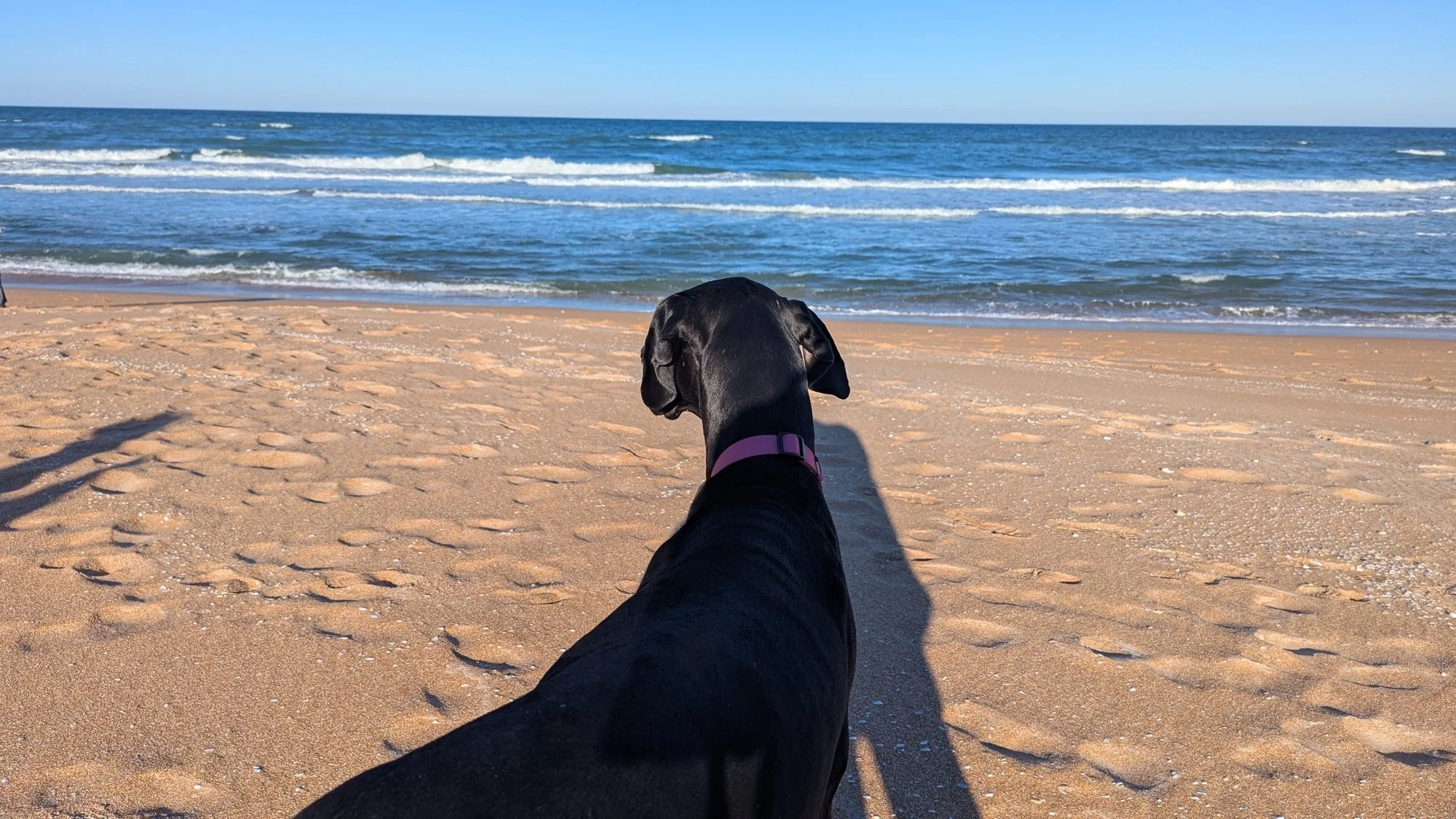 04_beach_lookout.jpg