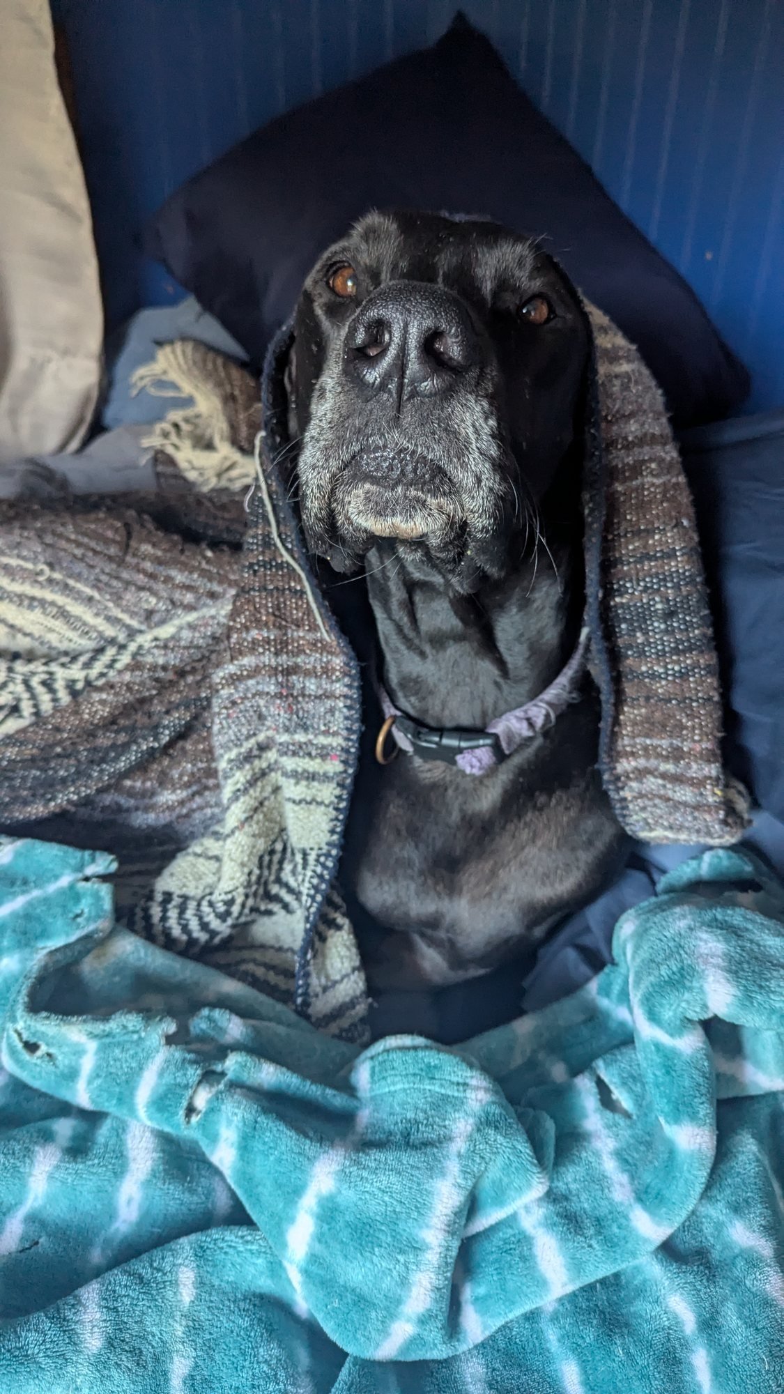 08_cozy_captain.jpg