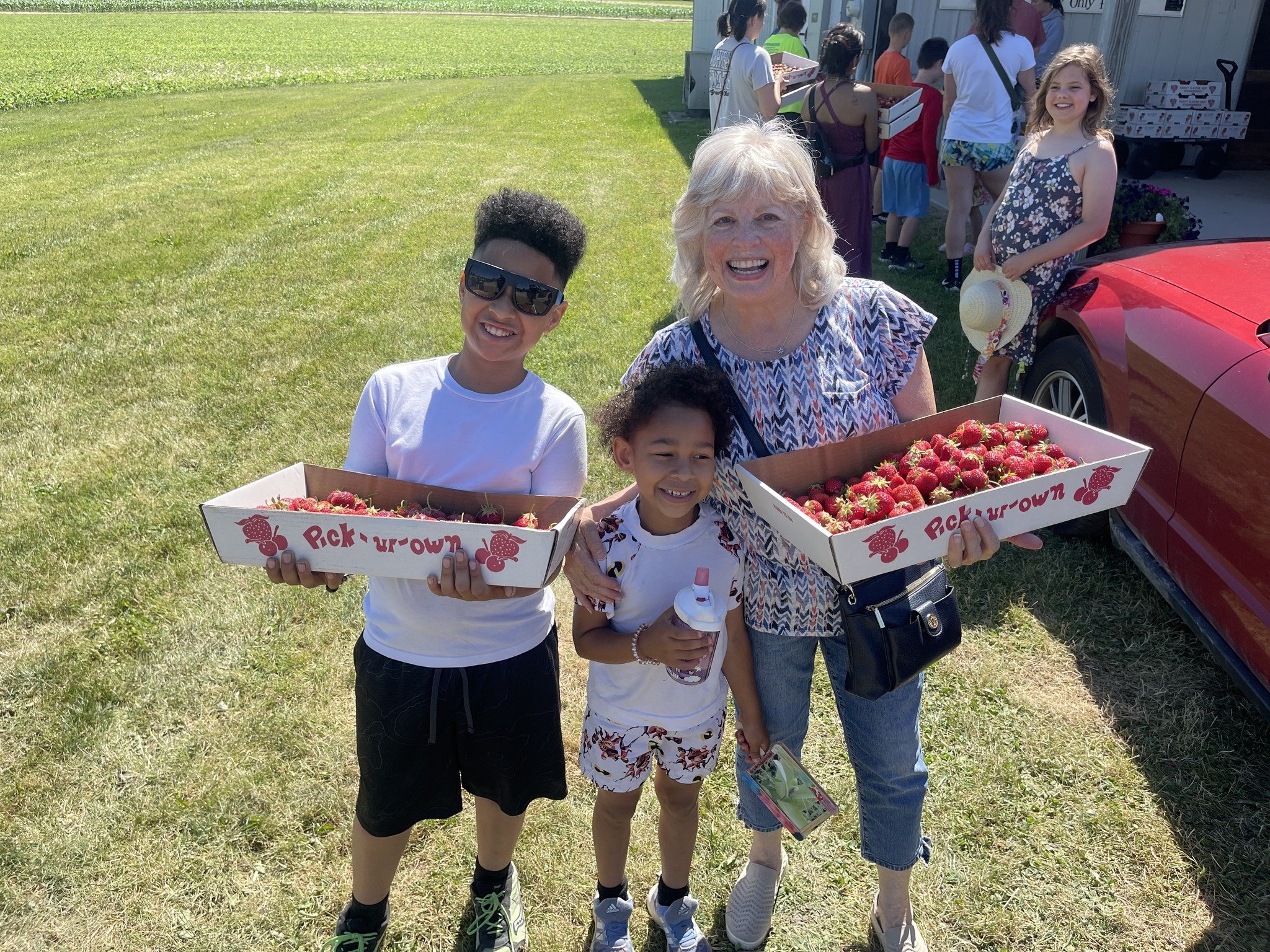A group of people at a strawberry picking event. An older woman and two children are holding boxes of freshly picked strawberries, smiling at the camera. In the background, more people are in line at a food stand, and a girl is holding a hat.