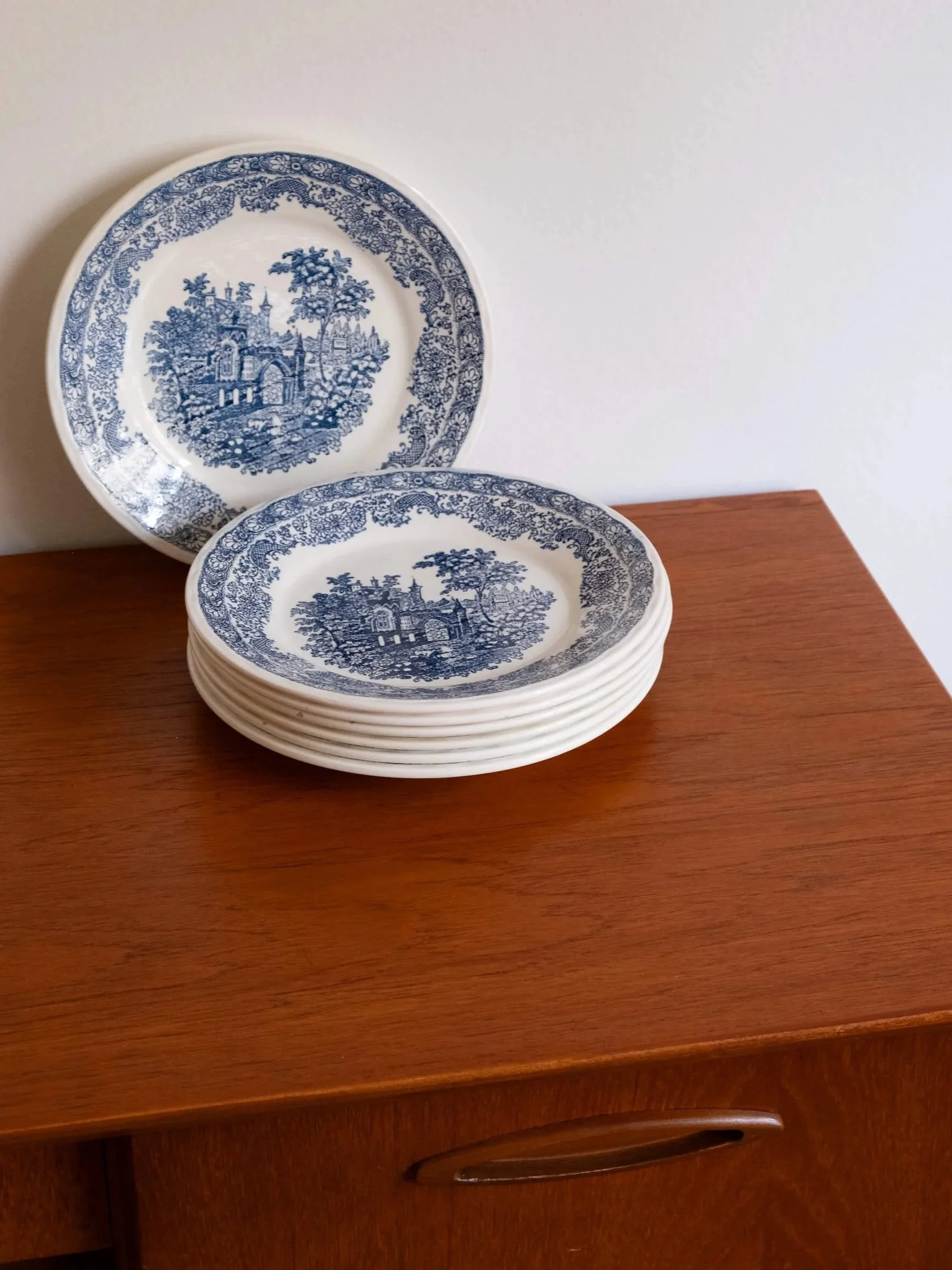 un autre angle de vue sur ces assiettes plates vintage au décor bleu