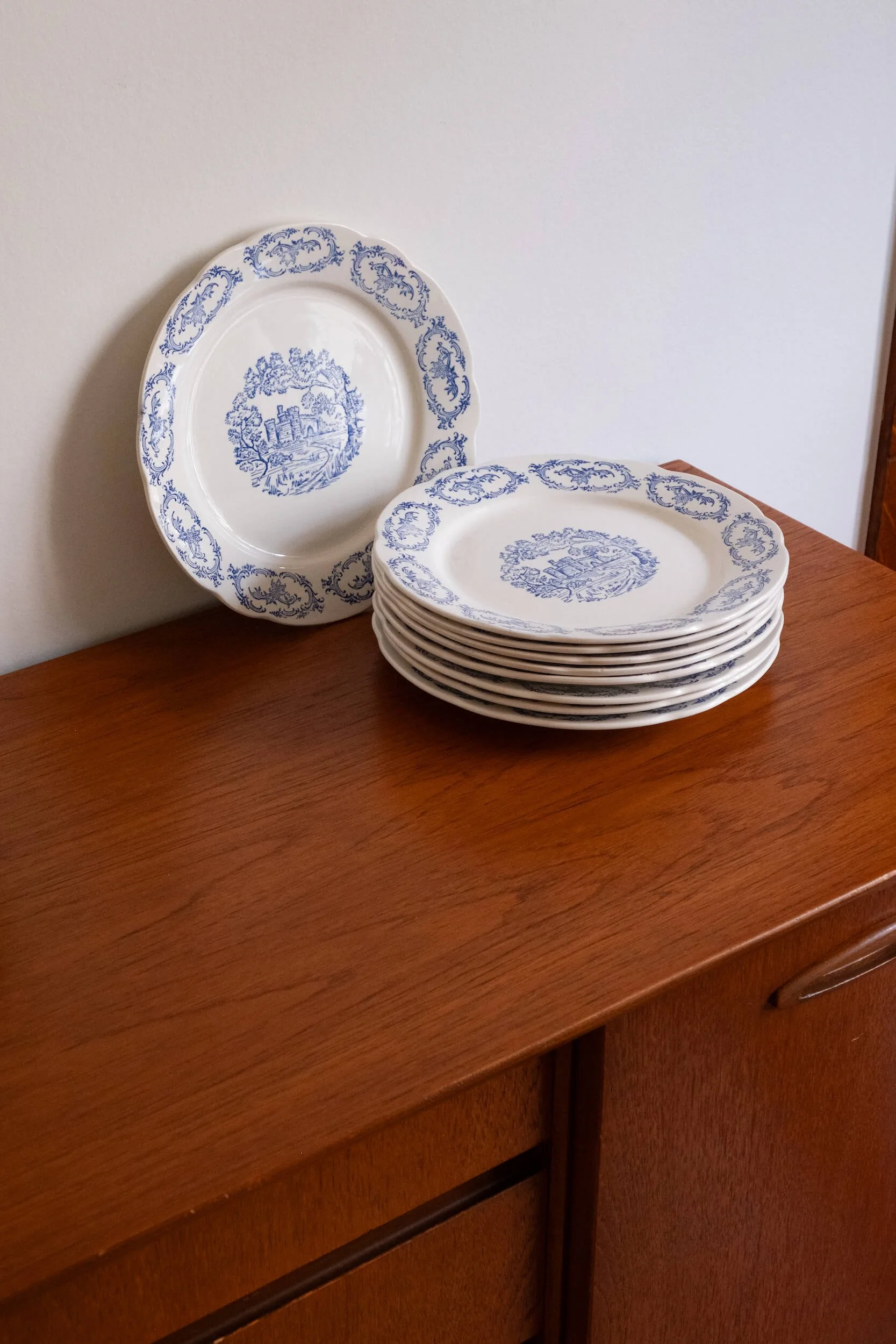ensemble de 9 assiettes plates vintage décor plateau en parfait état