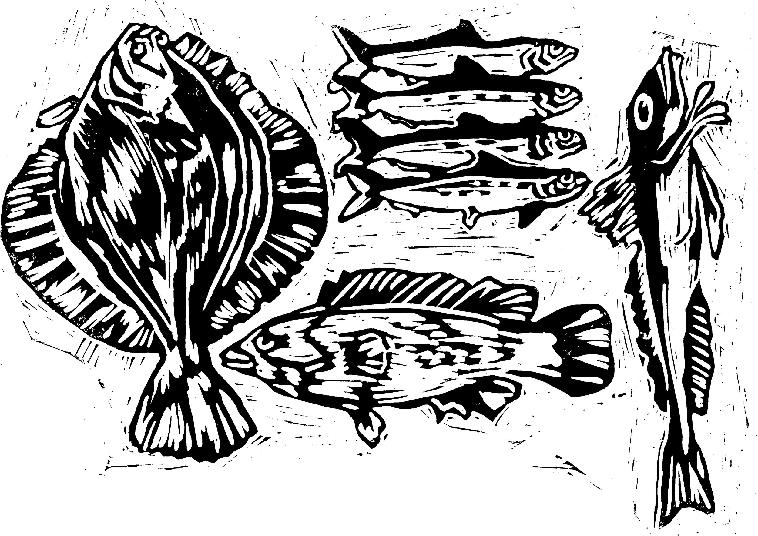 Newlyn Fish, 2024. Lino Print on Paper, A2.